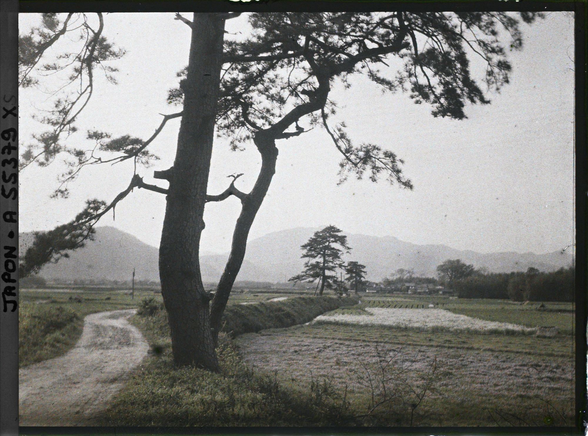 Image représentant Route et paysage de campagne (sortie est de Kyôto vers Ôtsu)