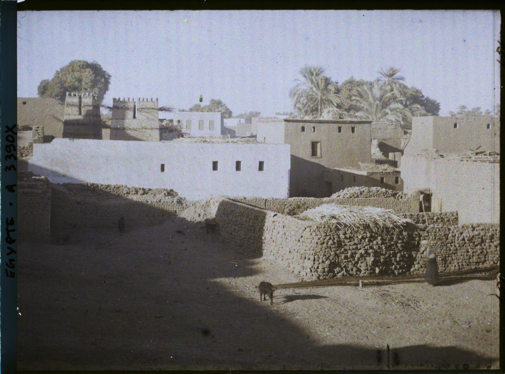 Image représentant Village d'Edfou près du temple dédié à Horus