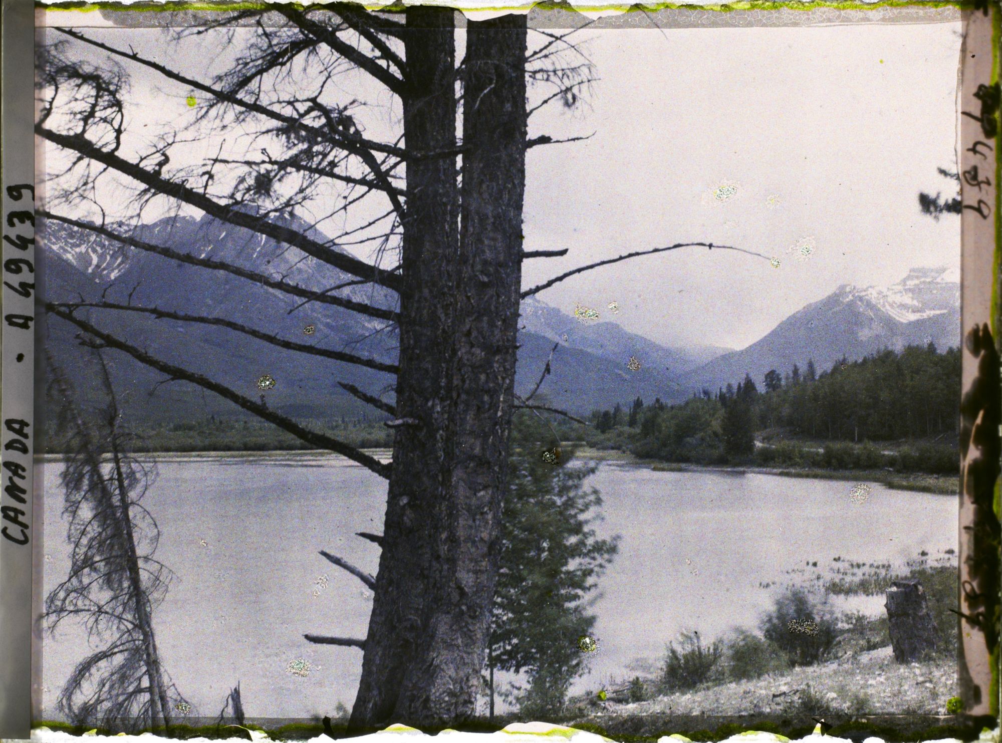 Image représentant Canada, Banff, Chaîne du Mont Massive