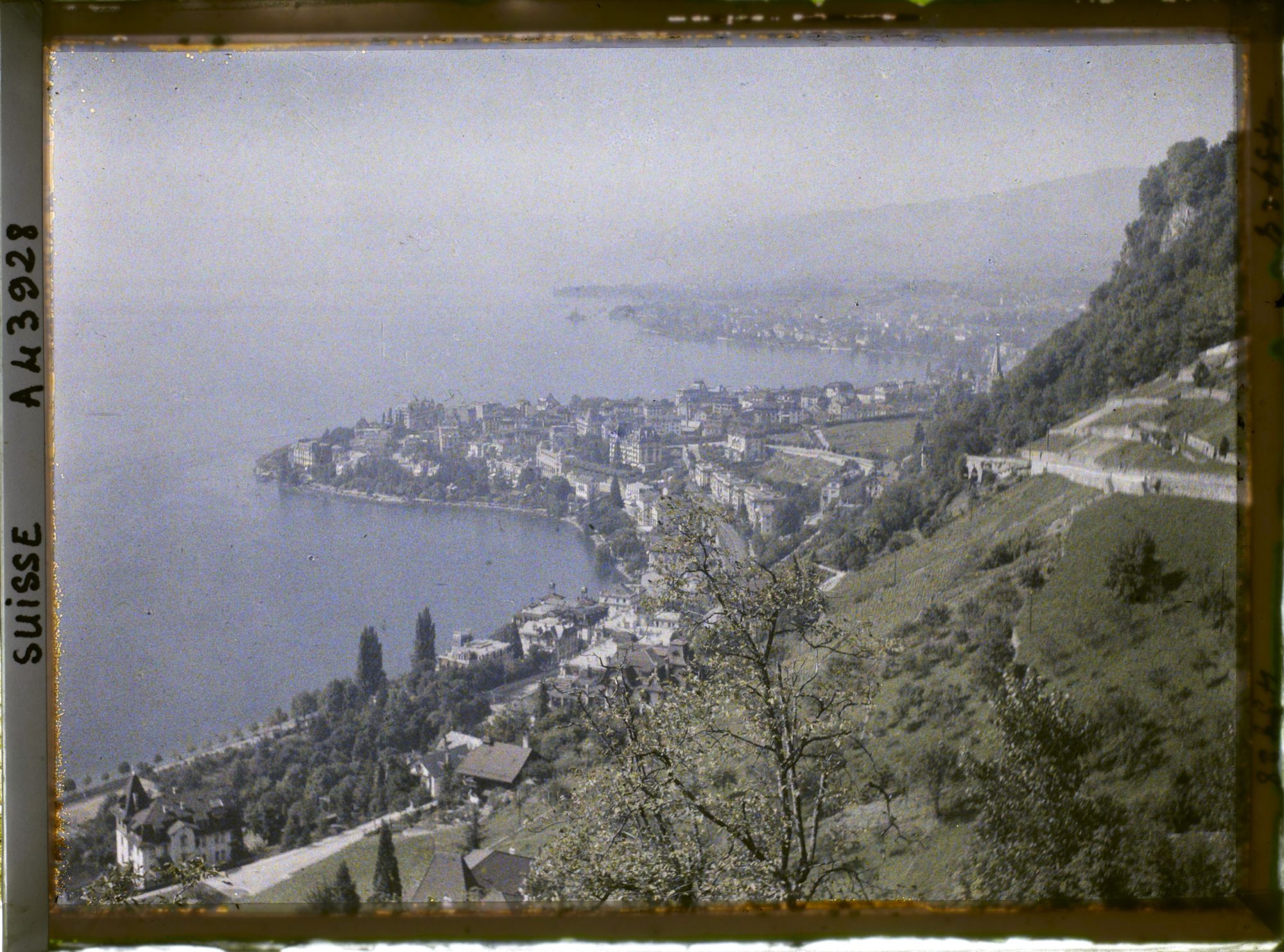 Image représentant Panorama sur Montreux et le Léman