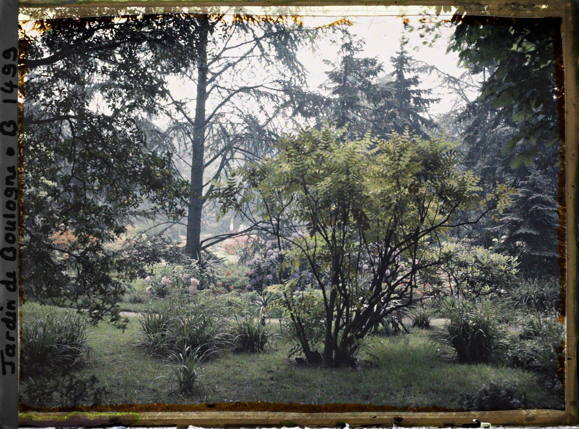 Image représentant Vue vers la forêt bleue, à l'arrière-plan on devine le marais