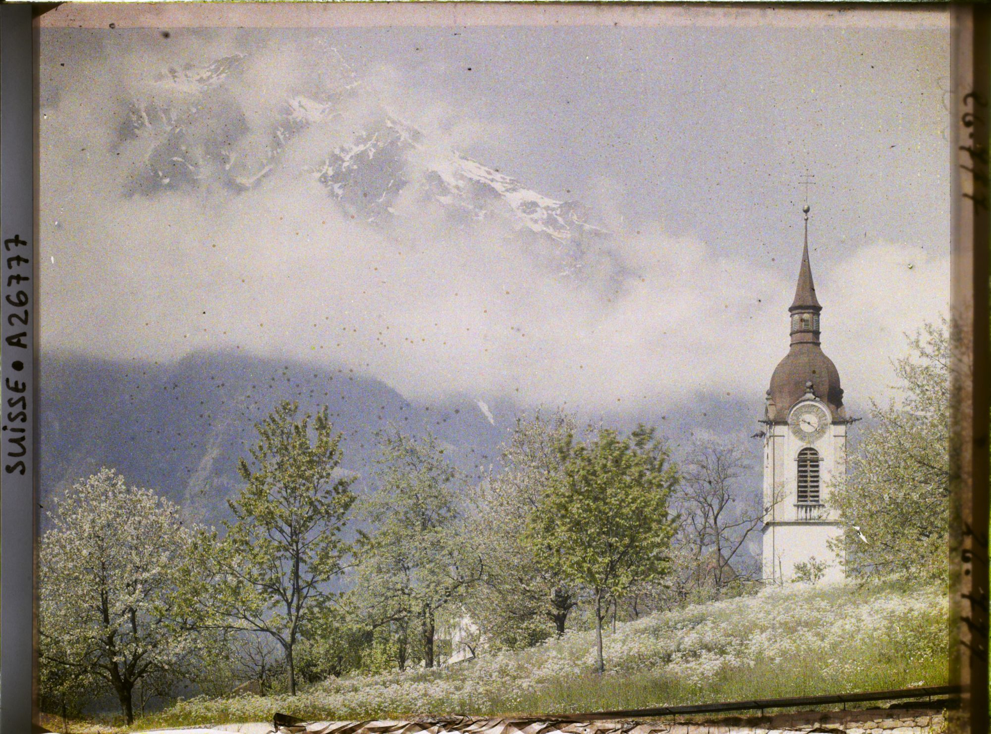 Image représentant L'église Saint-Martin