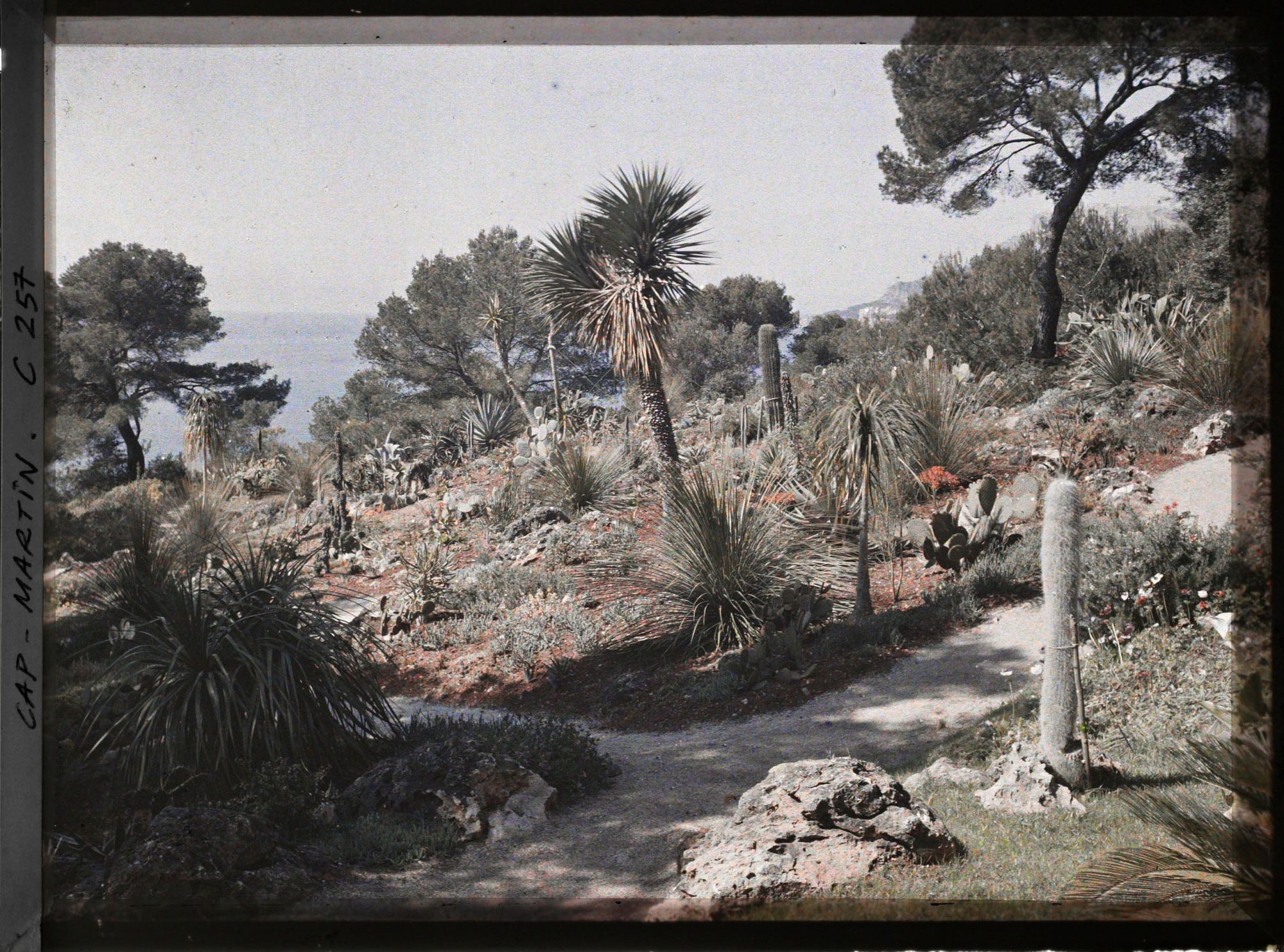 Image représentant Cap-Martin - Le Jardin