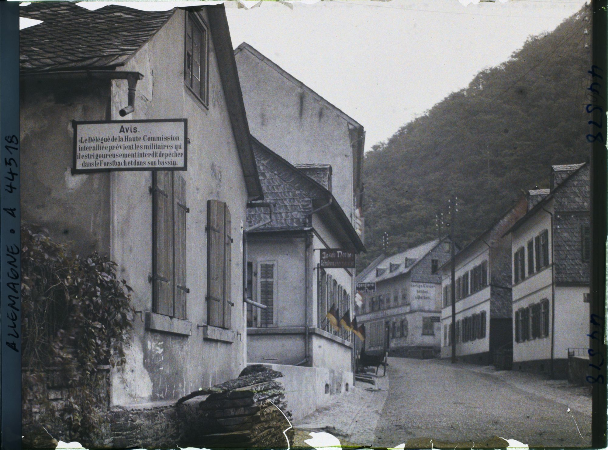 Image représentant Allemagne, St Goarhausen, Inscription française (pêche)