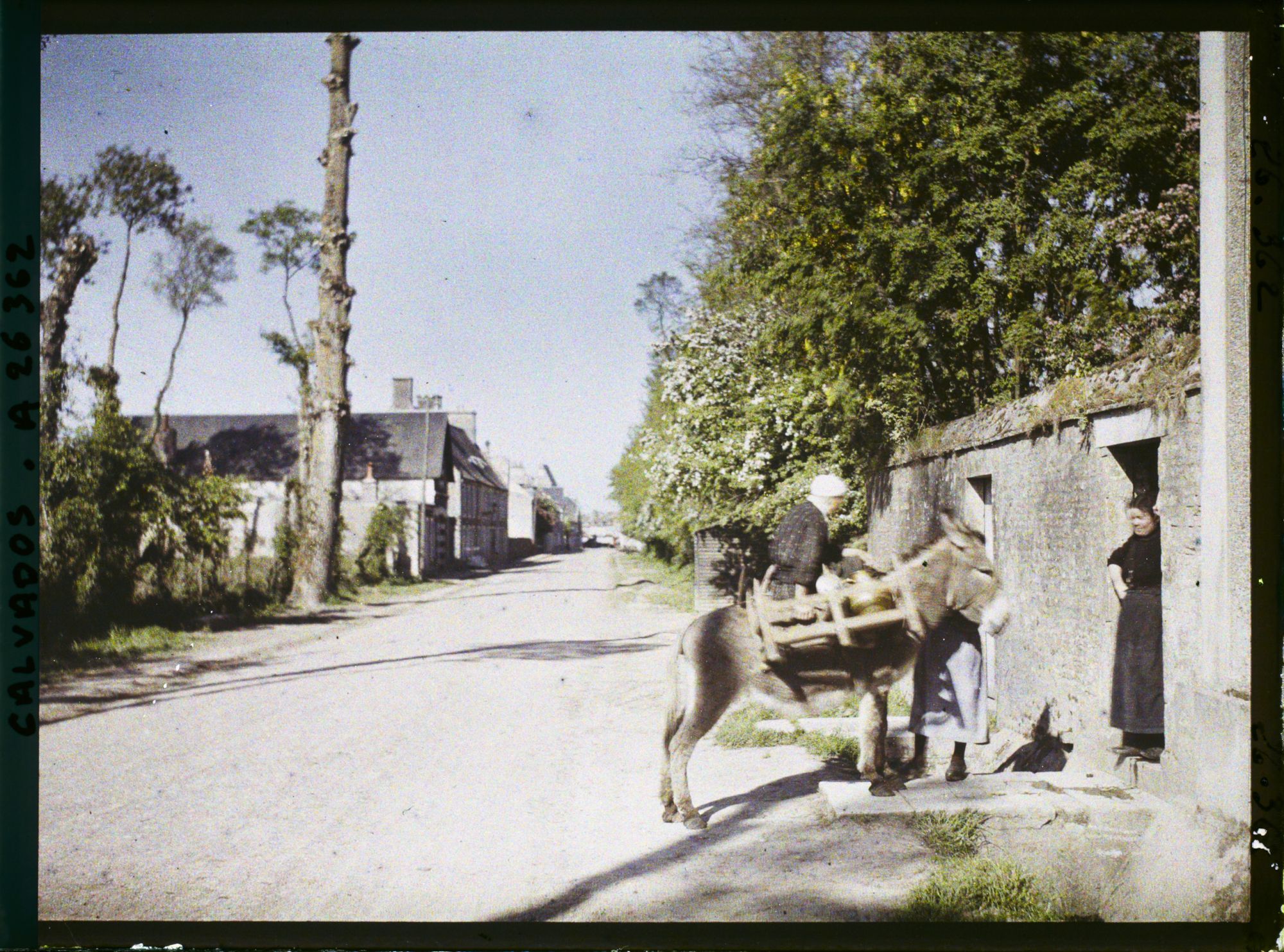 Image représentant Une laitière