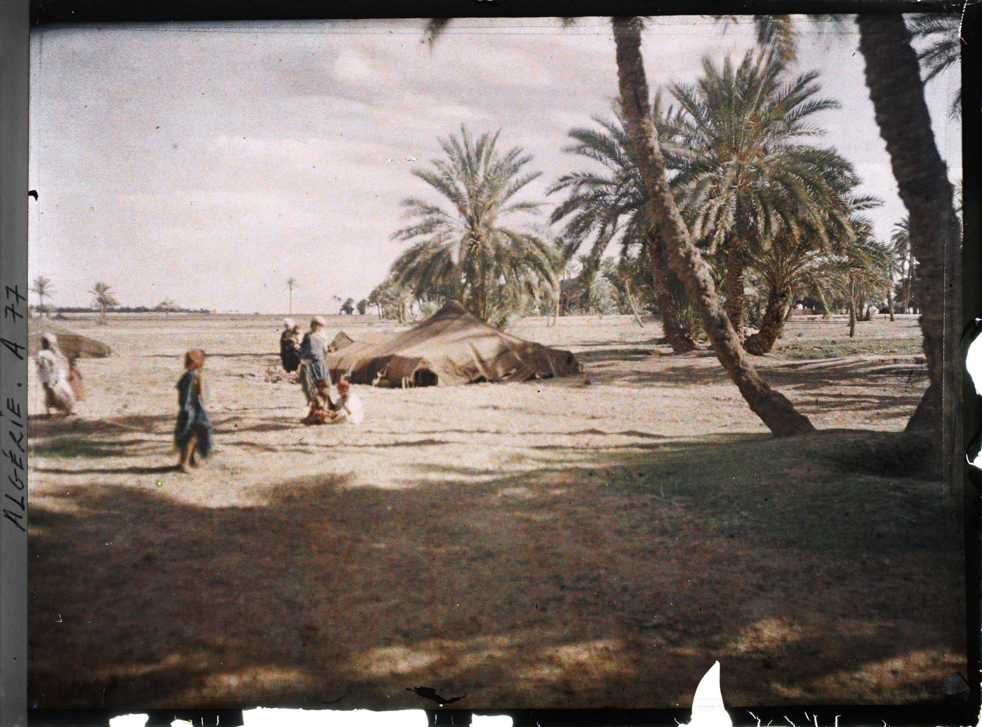 Image représentant Des nomades près d'une tente, à la lisière de l'oasis