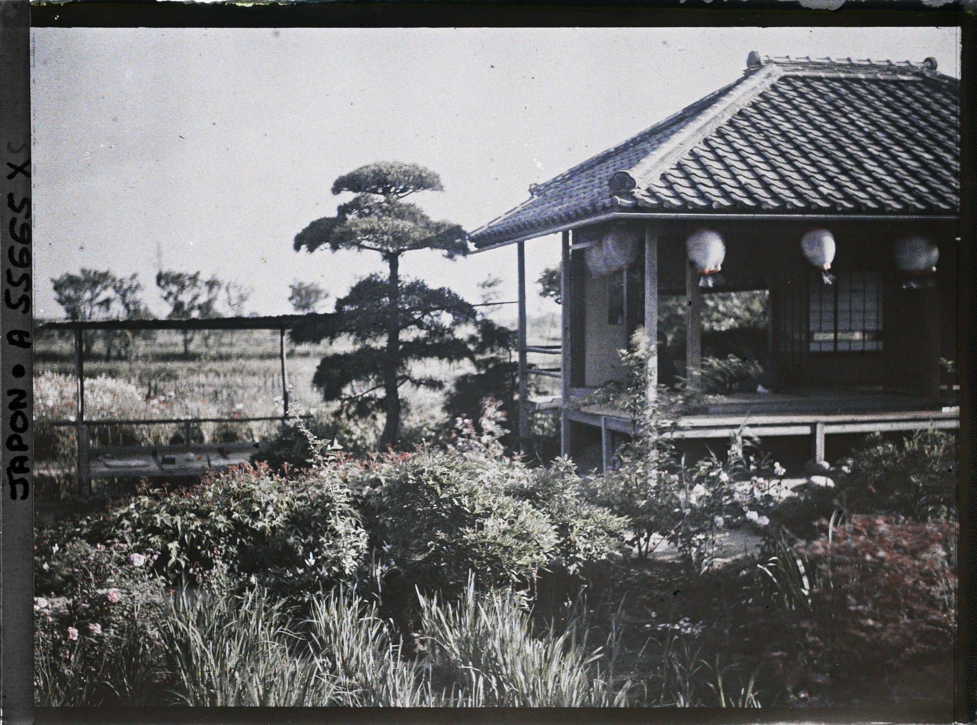 Image représentant Parc Horikiri-shobuen