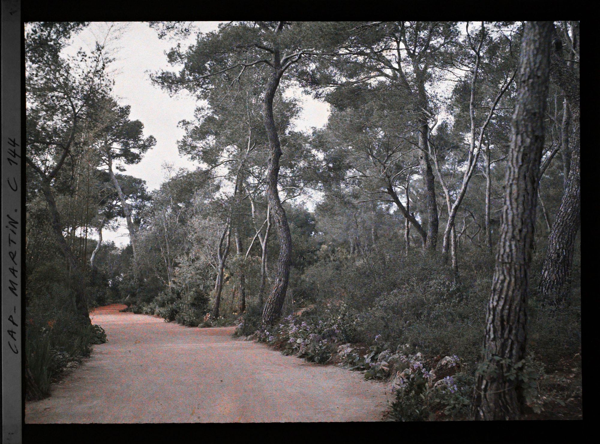 Image représentant Cap Martin - Le Jardin