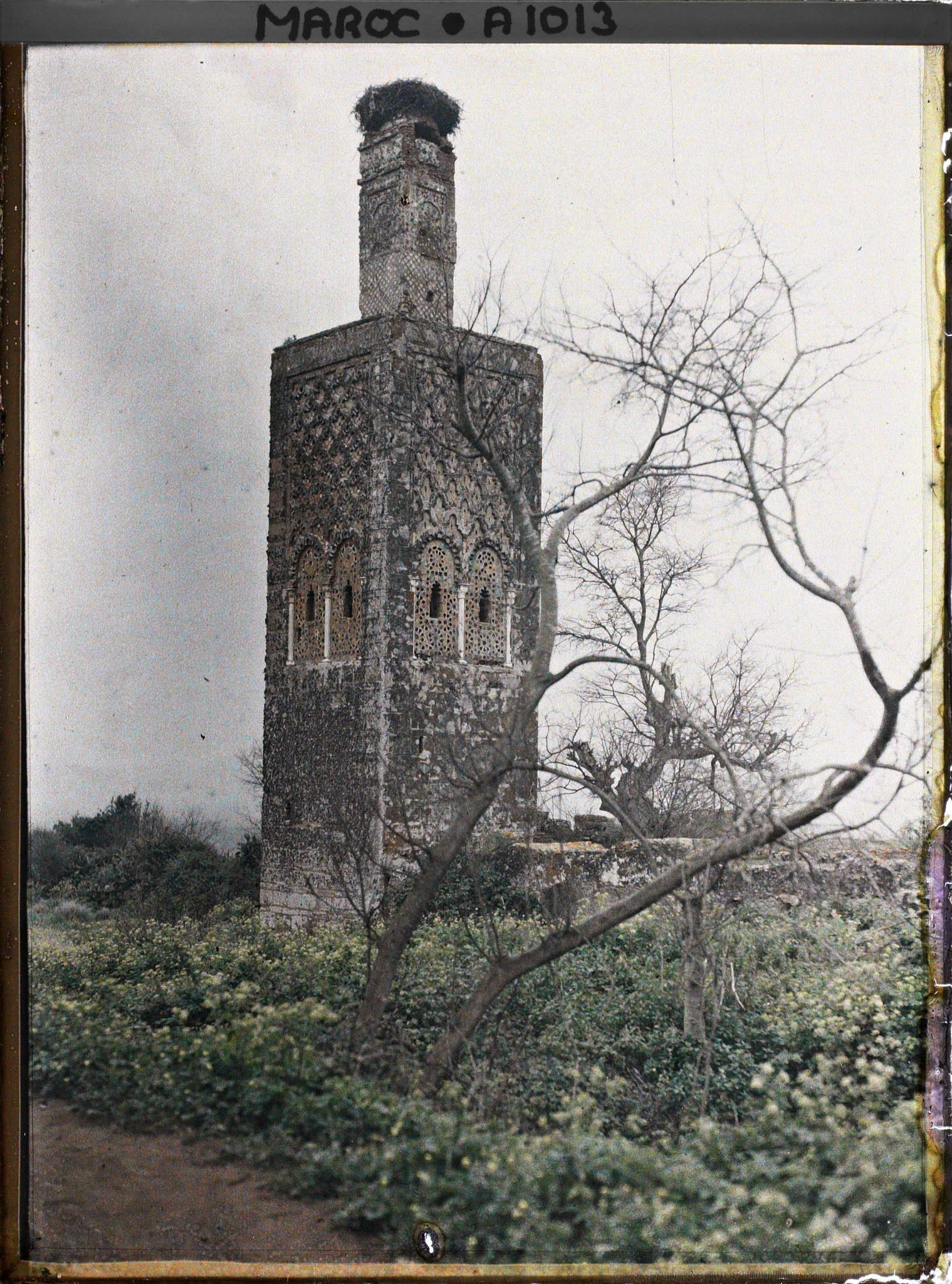Image représentant Minaret de la mosquée du Chellah