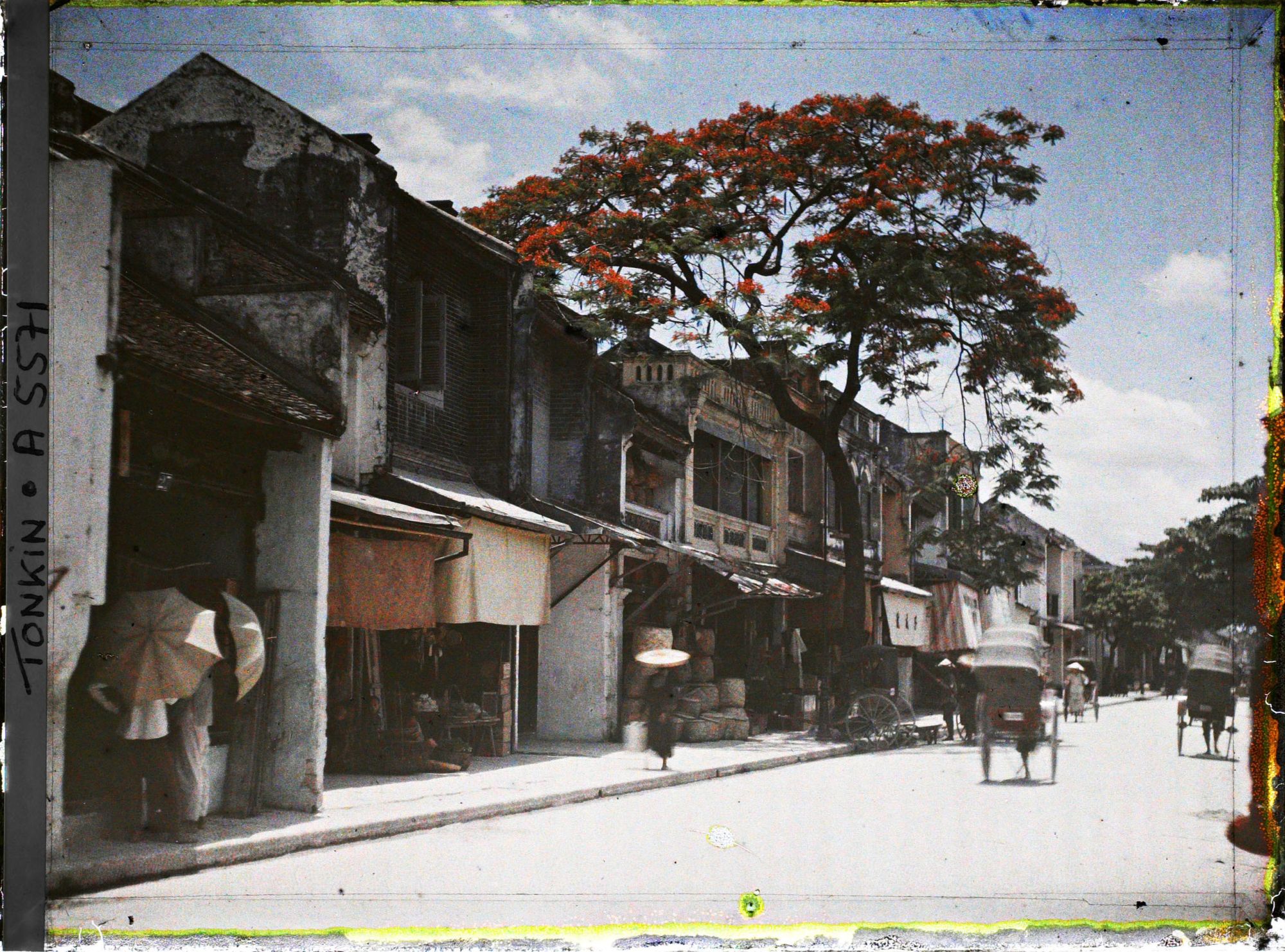 Image représentant Des boutiques et des flamboyants en fleurs dans la " rue des Paniers "