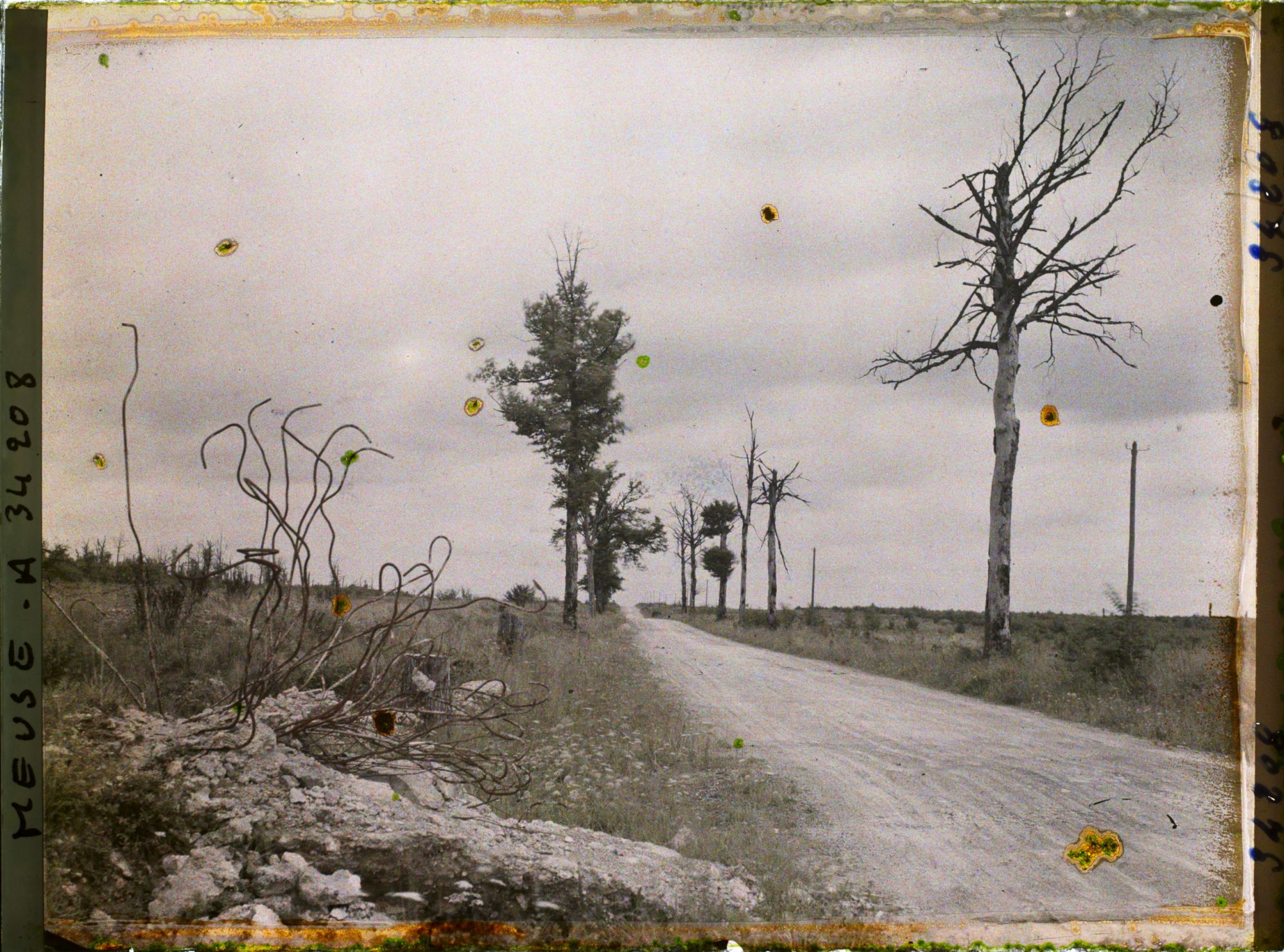 Image représentant France, La Tête à Vache, Route de St Mihiel à Apremont à la hauteur du Chemin de la Louvière