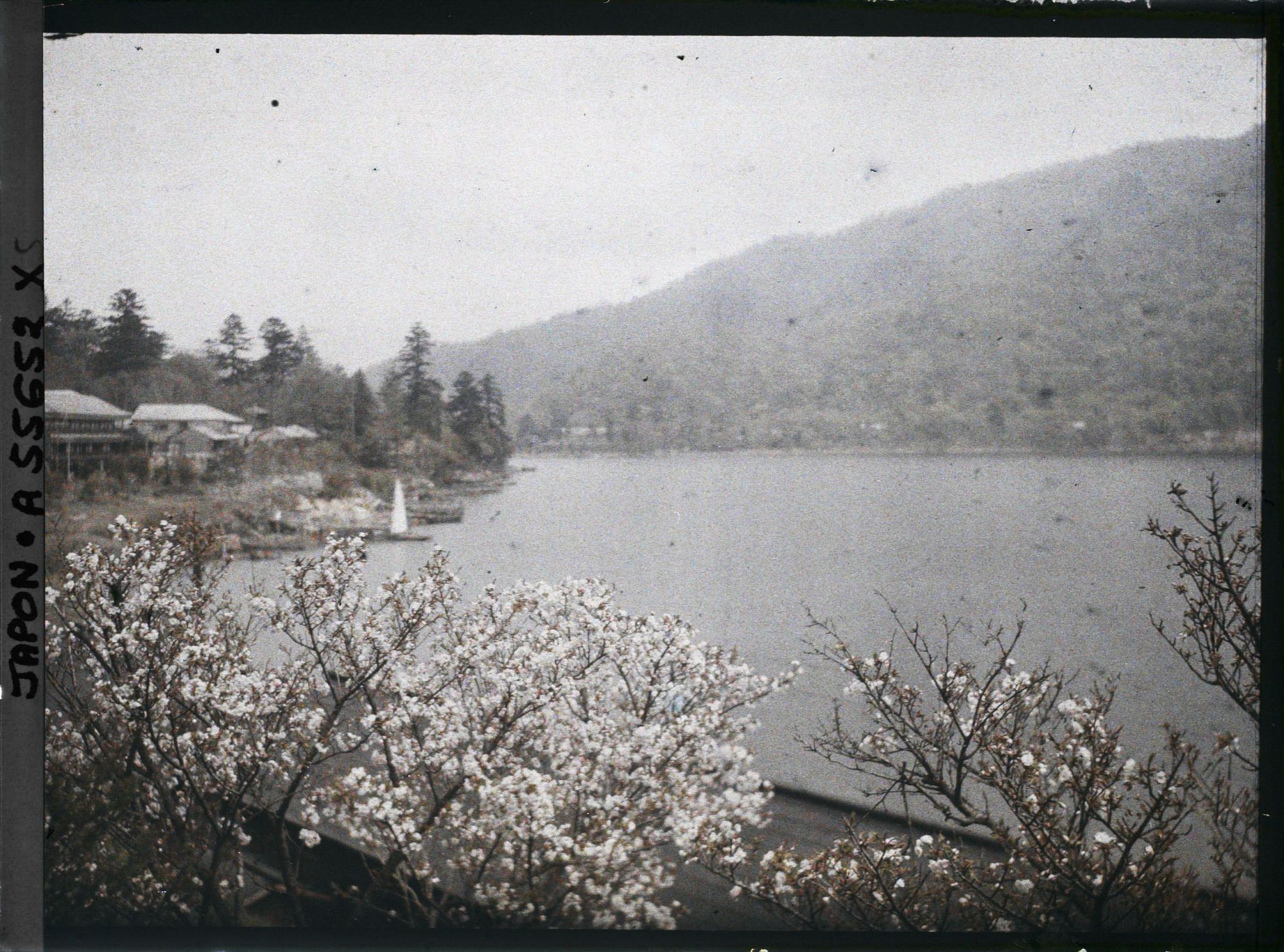 Image représentant Les bords du lac Chuzenji