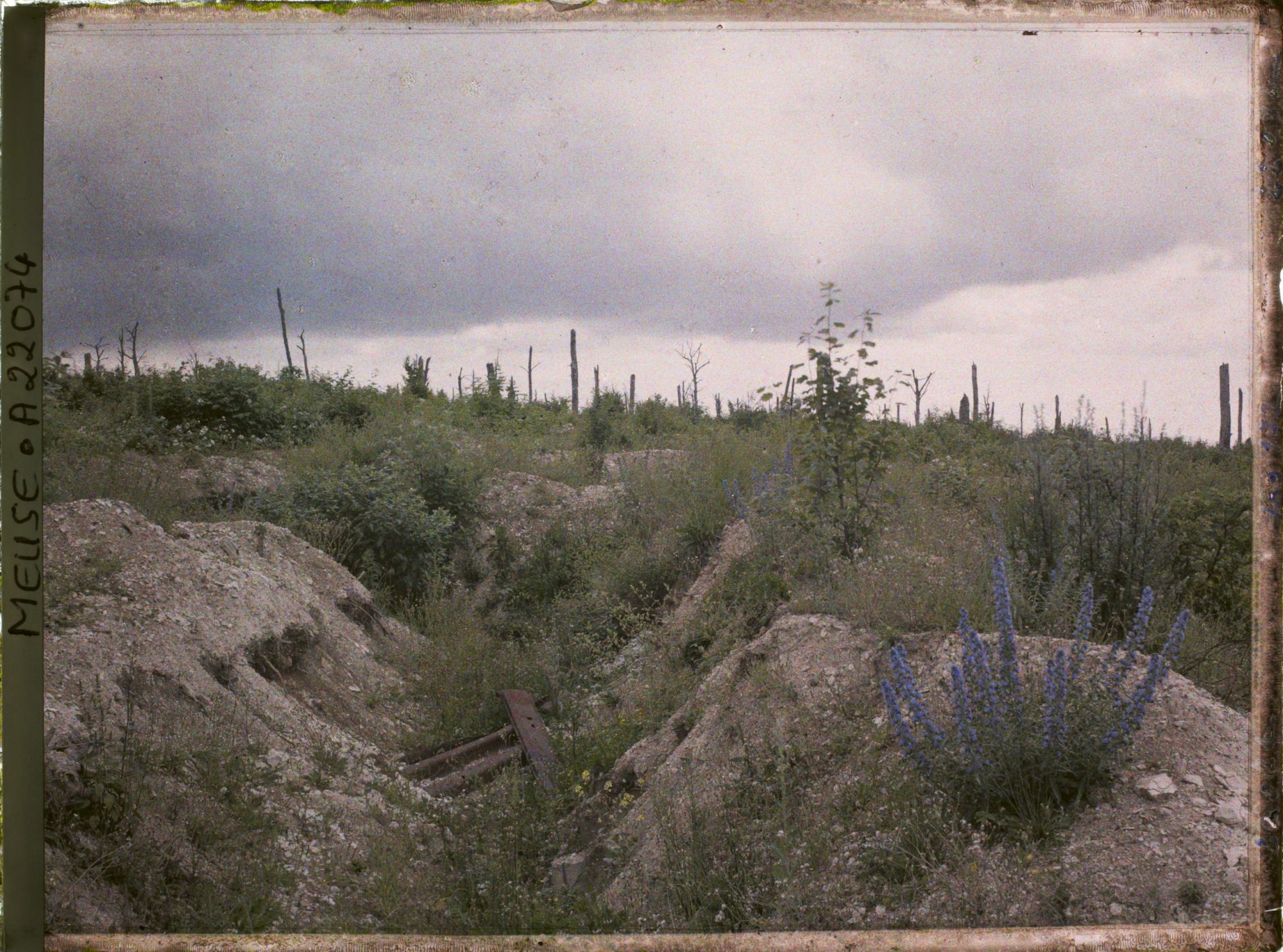 Image représentant France, Tranchées de Calonnes, Tranchée Allemande au bois de St Rémy