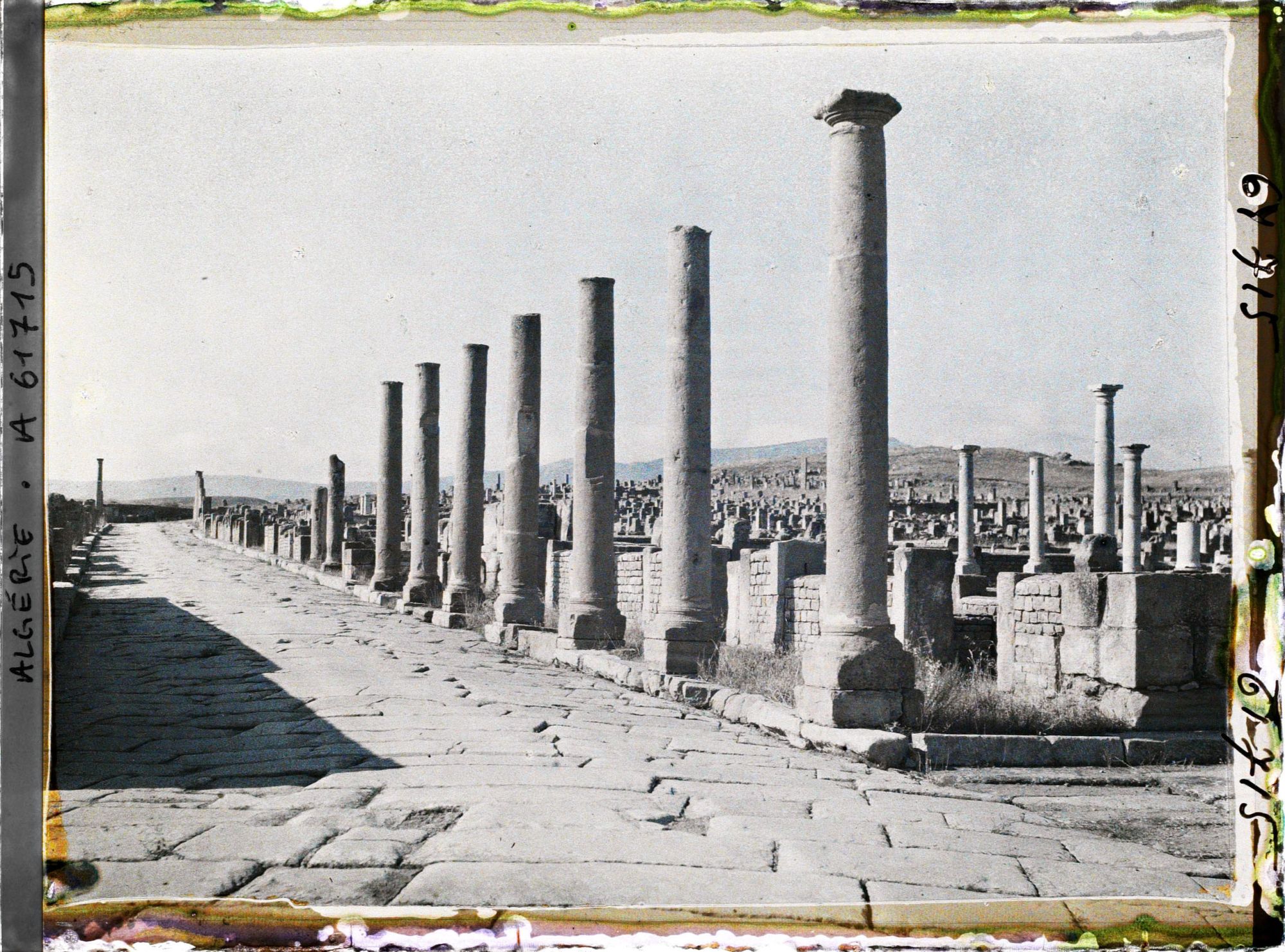 Image représentant Algérie, Timgad, Cardo Sud