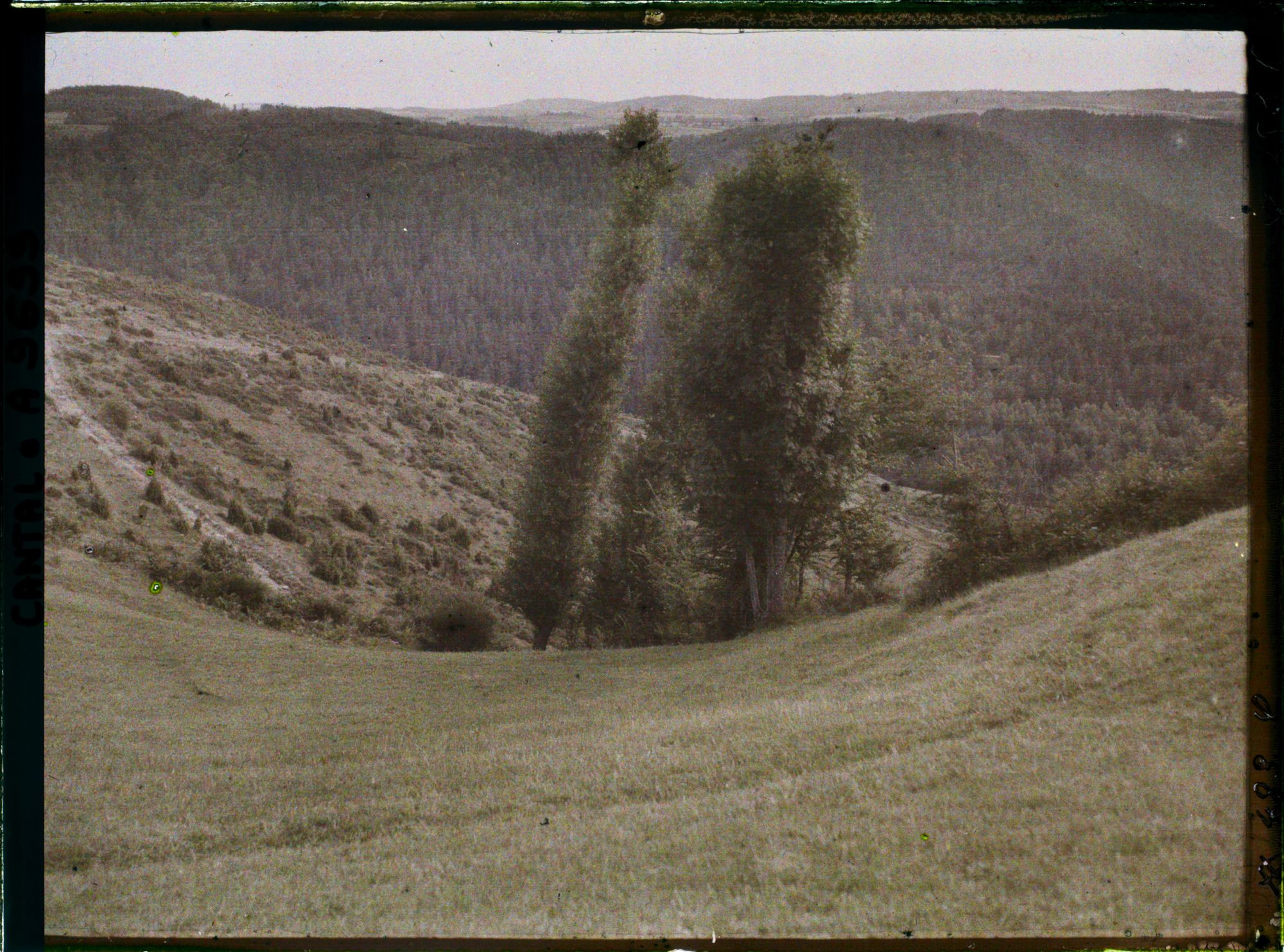 Image représentant Les flancs des gorges de la Truyère