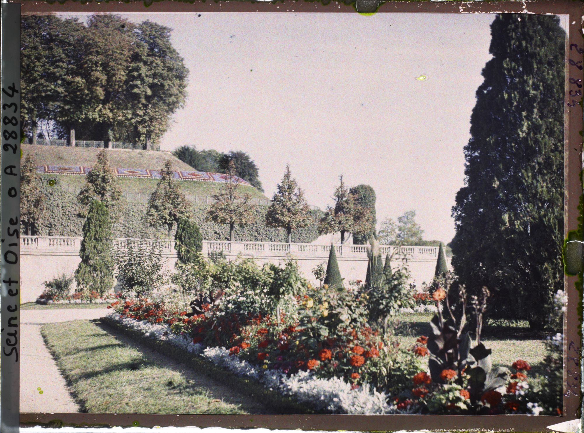 Image représentant Parterre fleuri sur la terrasse du Château