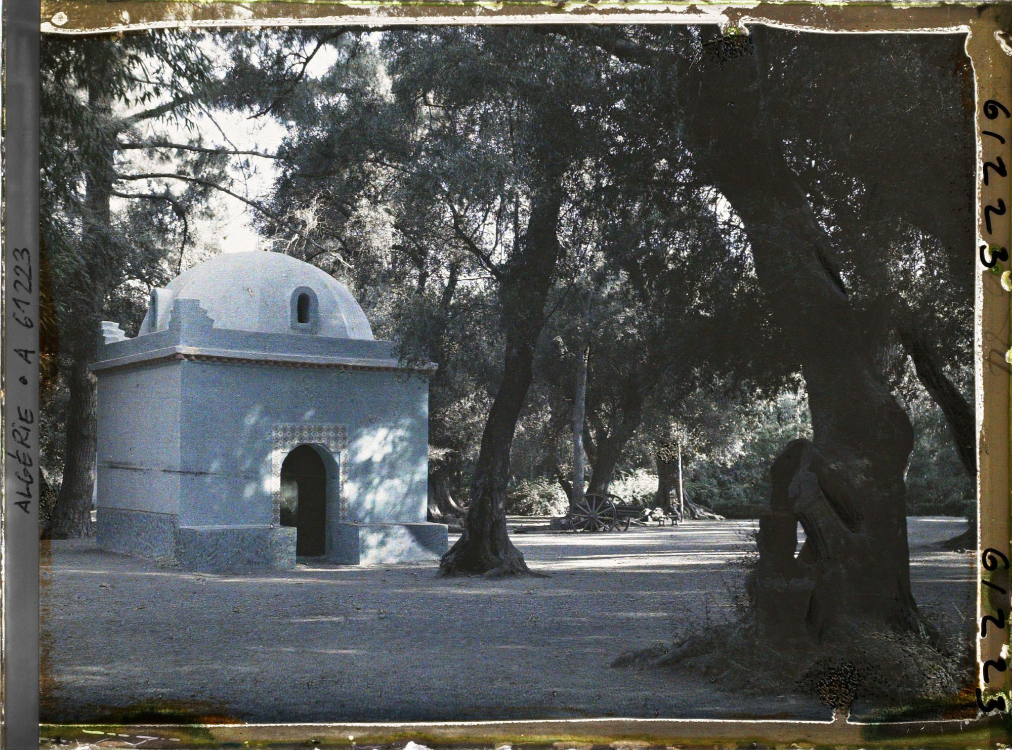 Image représentant Le sanctuaire de Sidi Yacoub dans le bois sacré