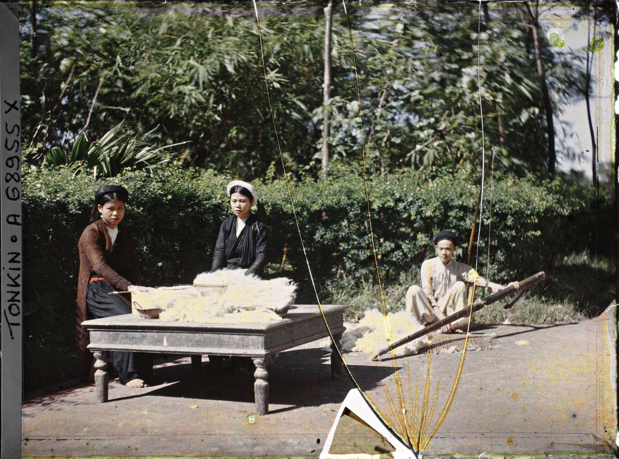 Image représentant Le cardage du kapok