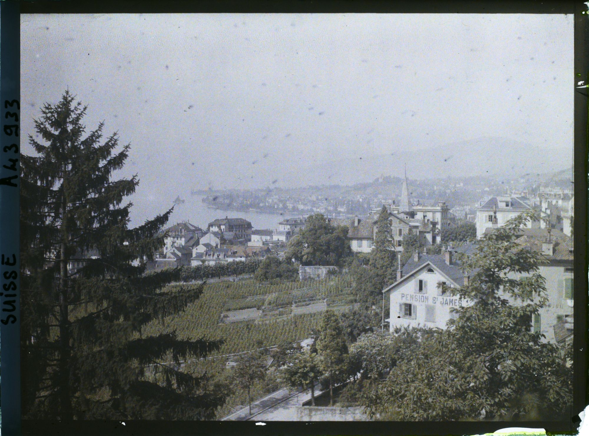 Image représentant Panorama sur Montreux et le Léman
