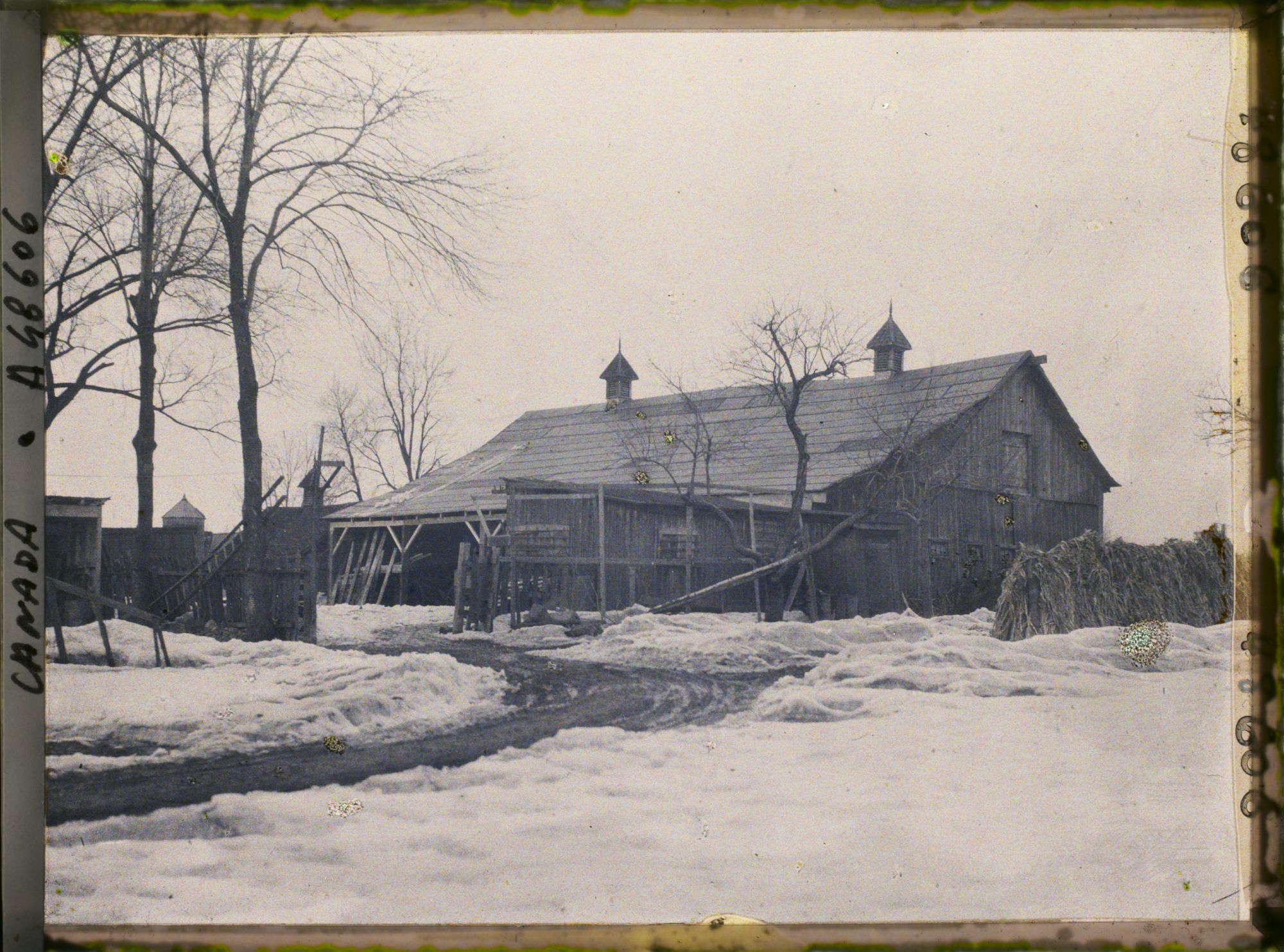 Image représentant La maison de François-Xavier Bellanger
