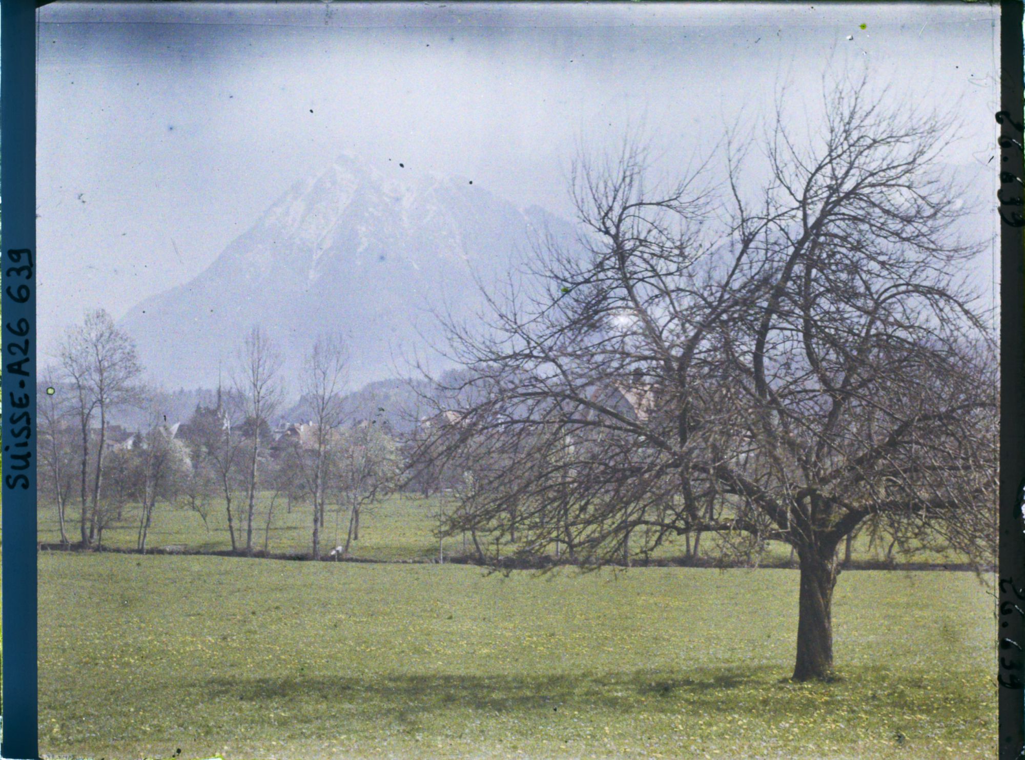 Image représentant Le village de Sarnen devant le Stanserhorn