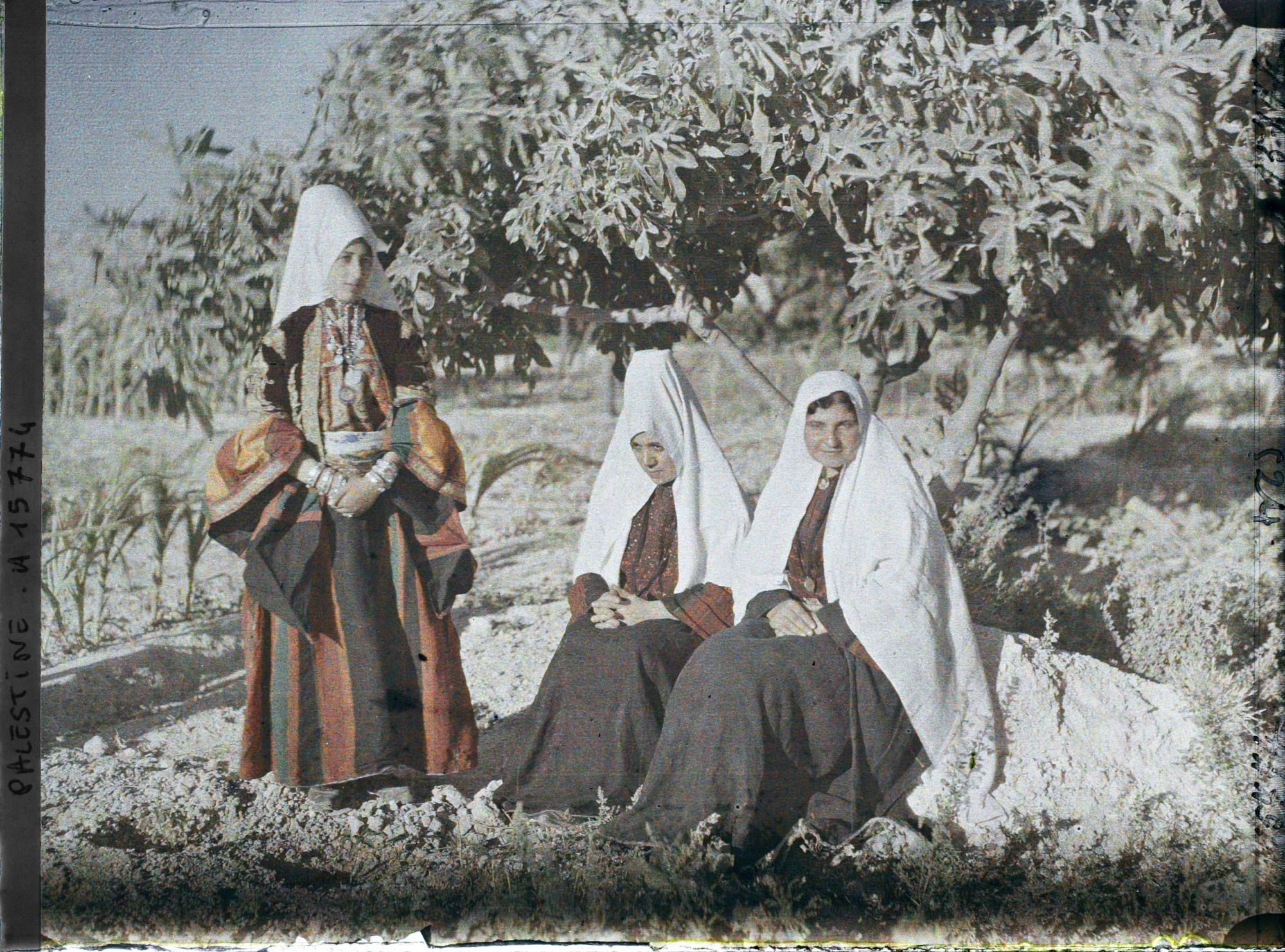 Image représentant Bethléemitaines chrétiennes portant le chatwé