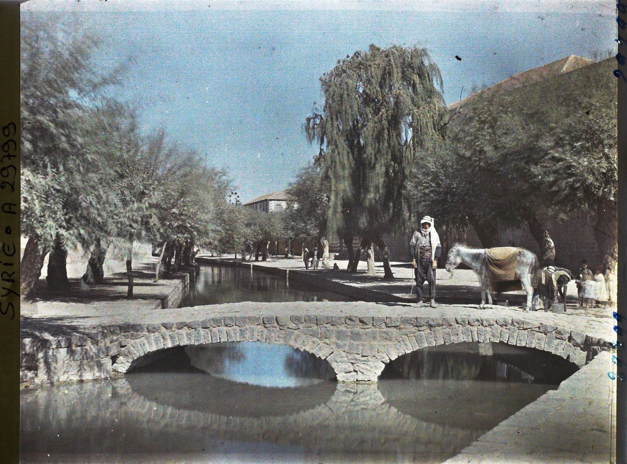 Image représentant Canal alimenté par les eaux de l'Oronte (nom arabe : Nahr El Assi, la rivière rebelle)