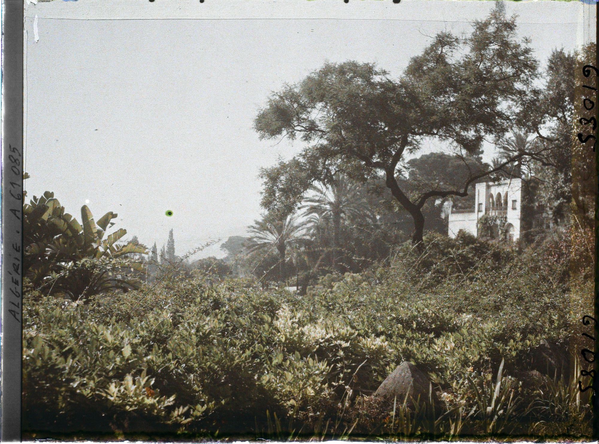 Image représentant Le jardin du palais du Bardo