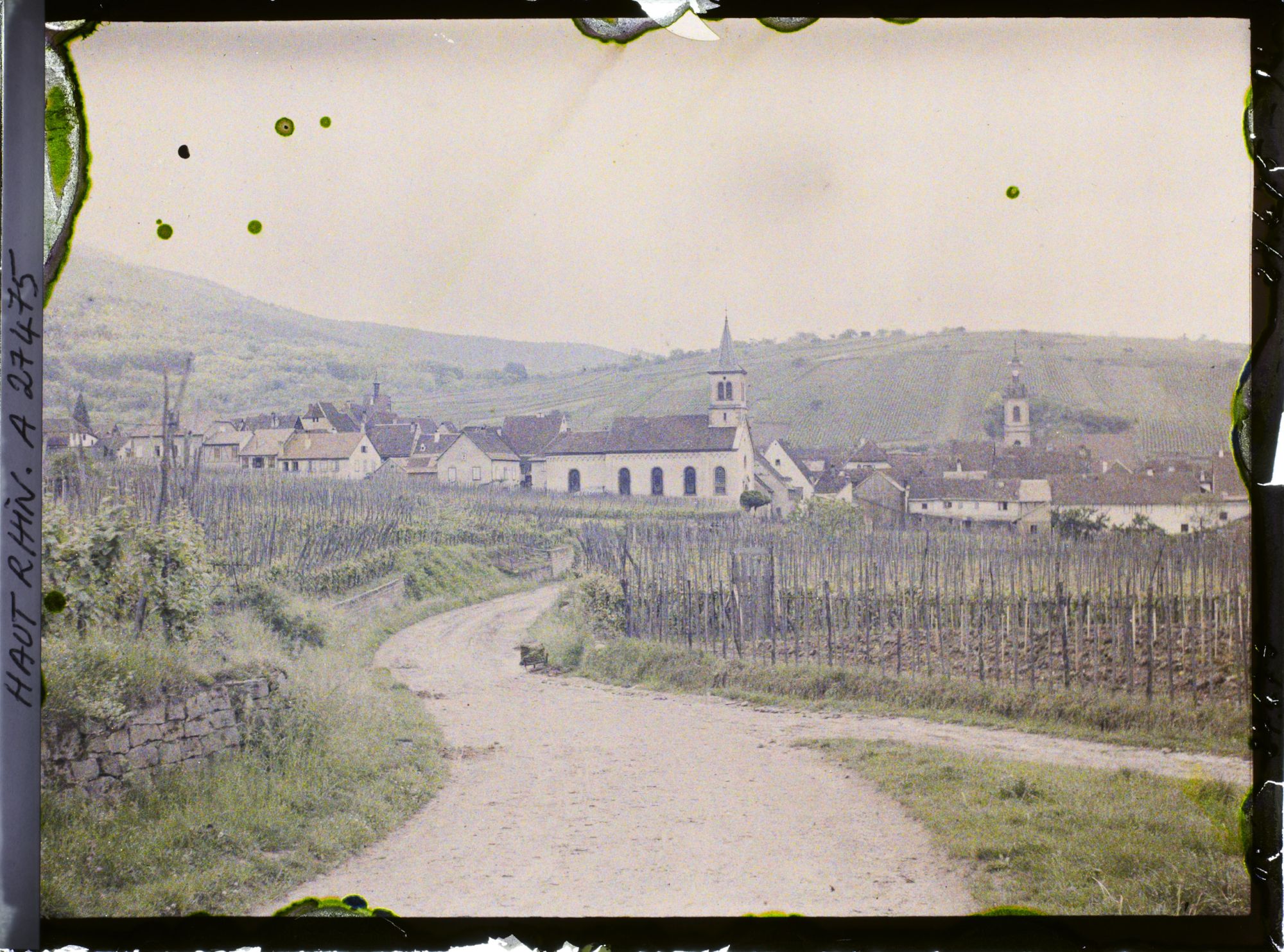 Image représentant France, Riquewihr, Vue d'ensemble de Riquewihr en venant de Kienzheim