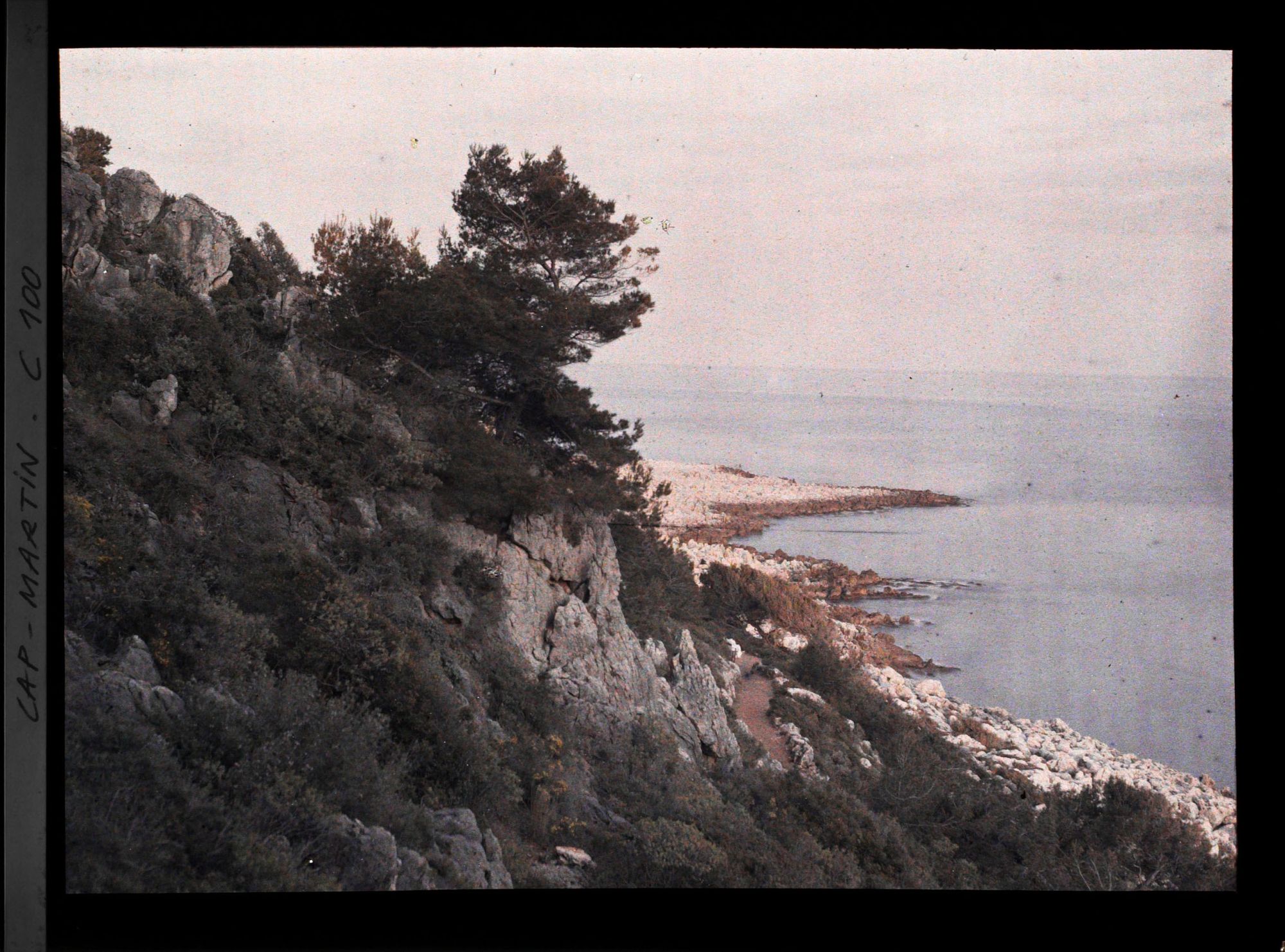 Image représentant La pointe du cap et le sentier des douaniers surplombés par pins et roches proches de la villa Kahn