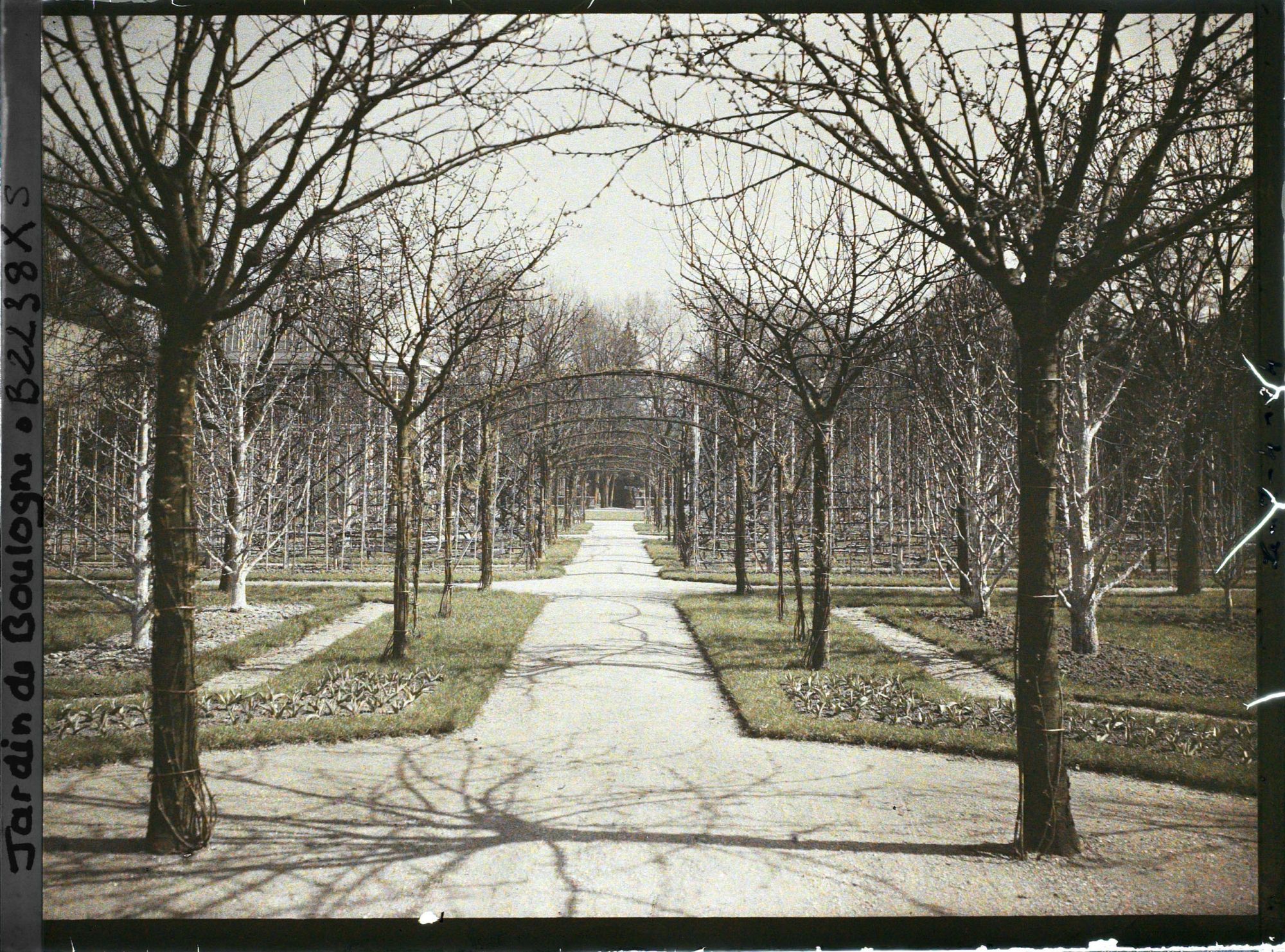 Image représentant Axe central du verger-roseraie vu en direction du jardin anglais depuis le rond-point côté dépendance