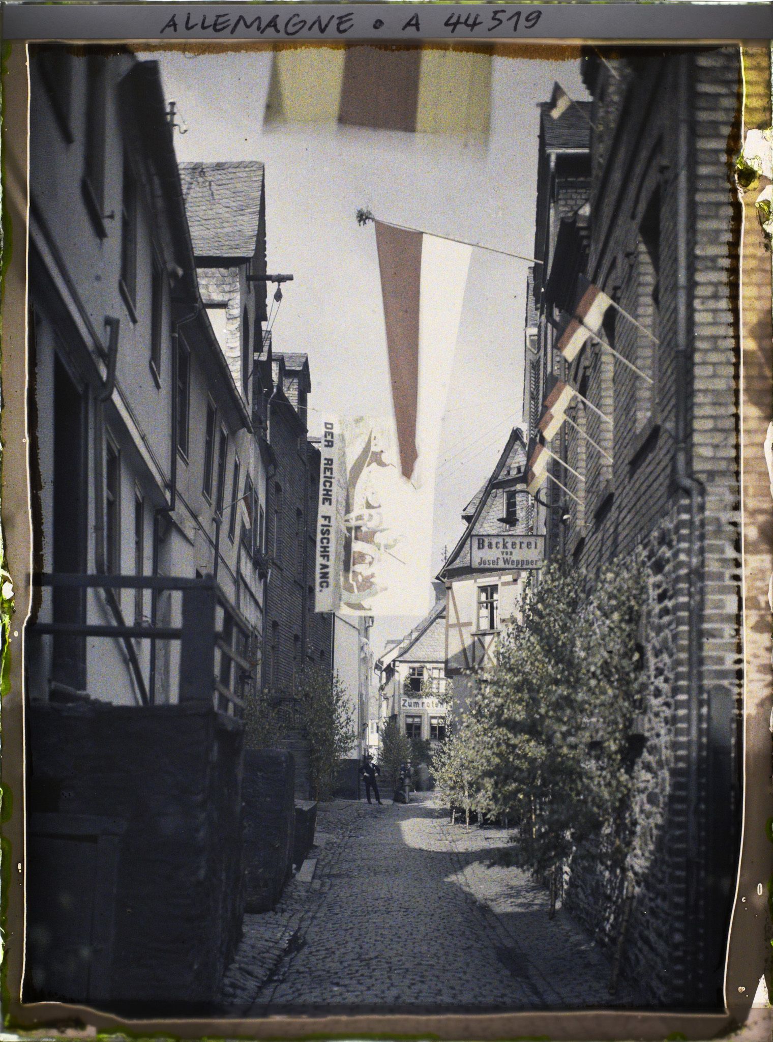 Image représentant Allemagne, St Goarhausen, Rue décorée pour Procession