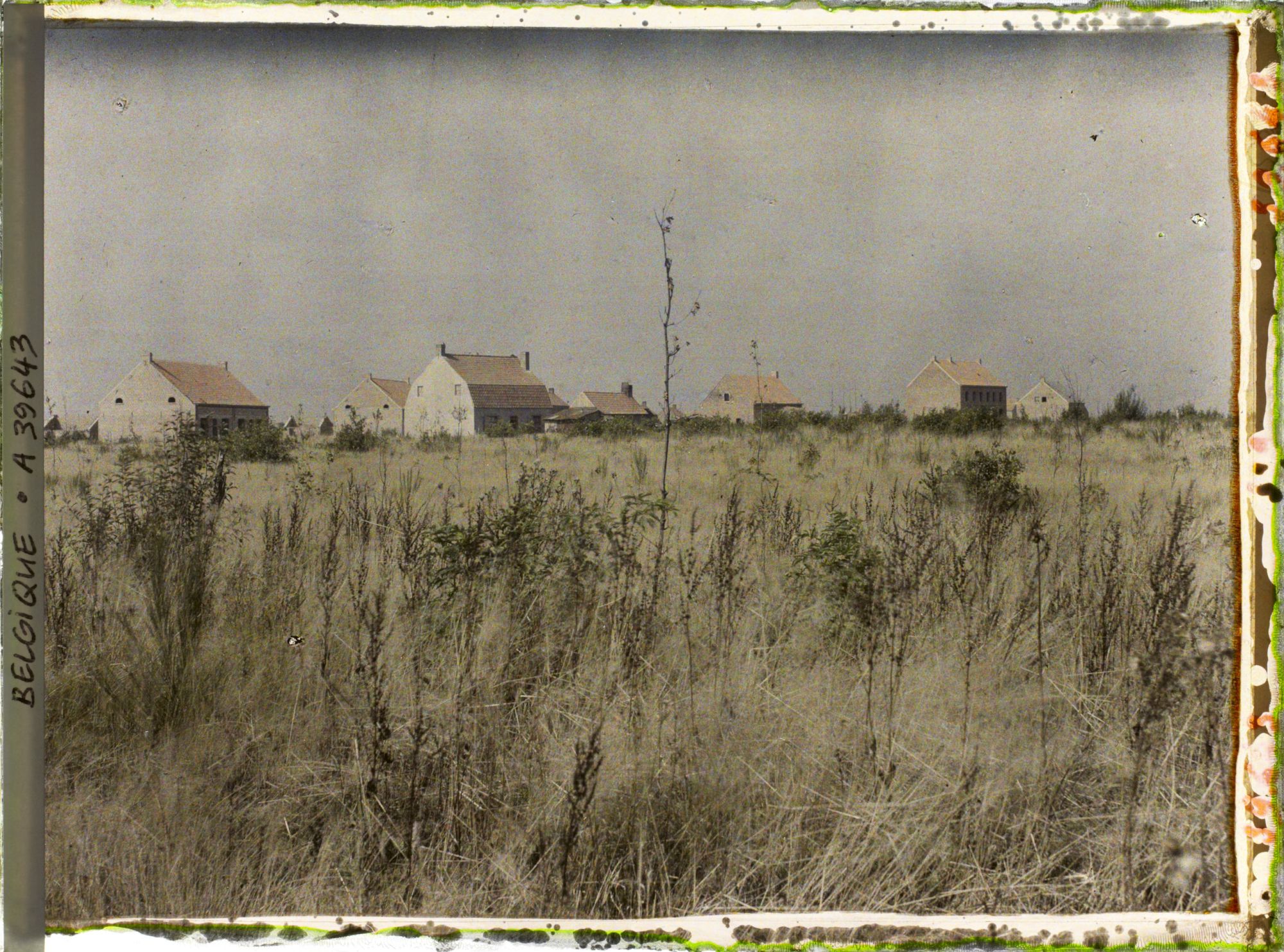 Image représentant Belgique, La côte 60, Maisons reconstruites à la Côte 60