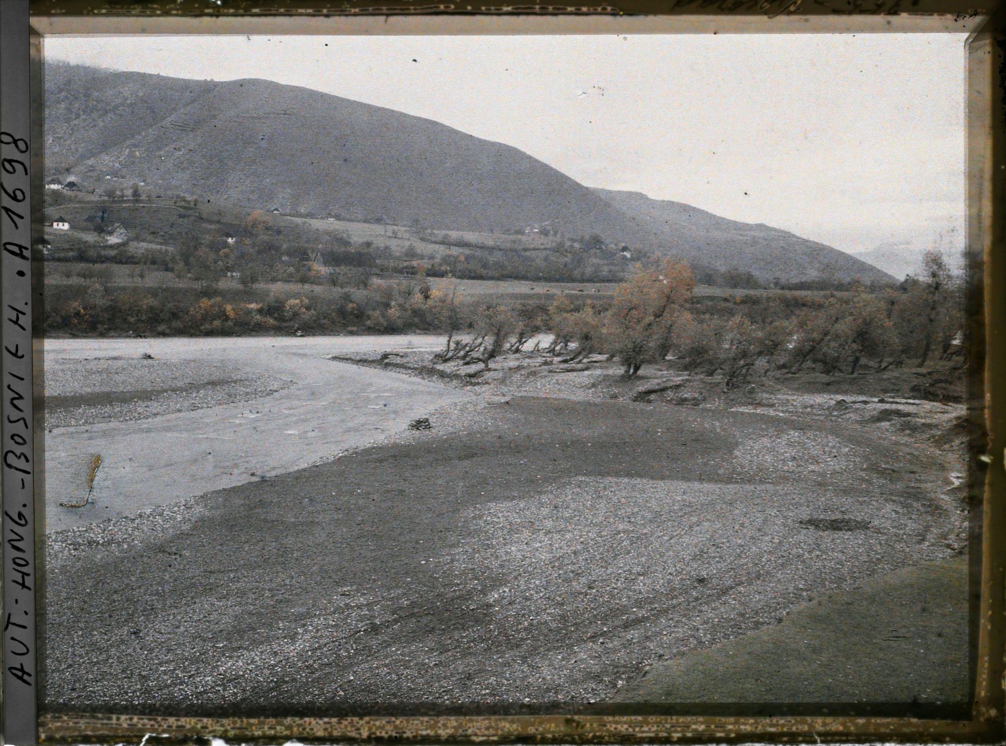 Image représentant Terrasse d'inondation avec arbres penchés par l'eau