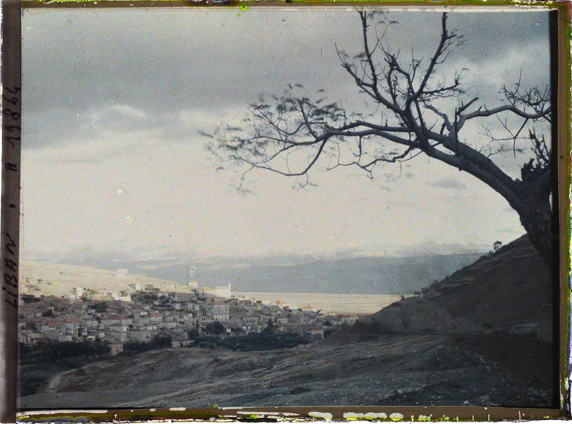 Image représentant La ville et la plaine de la Bekaa