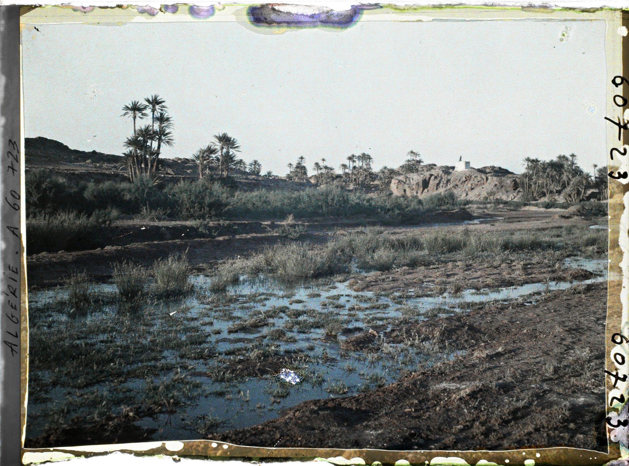 Image représentant Vue de l'oasis
