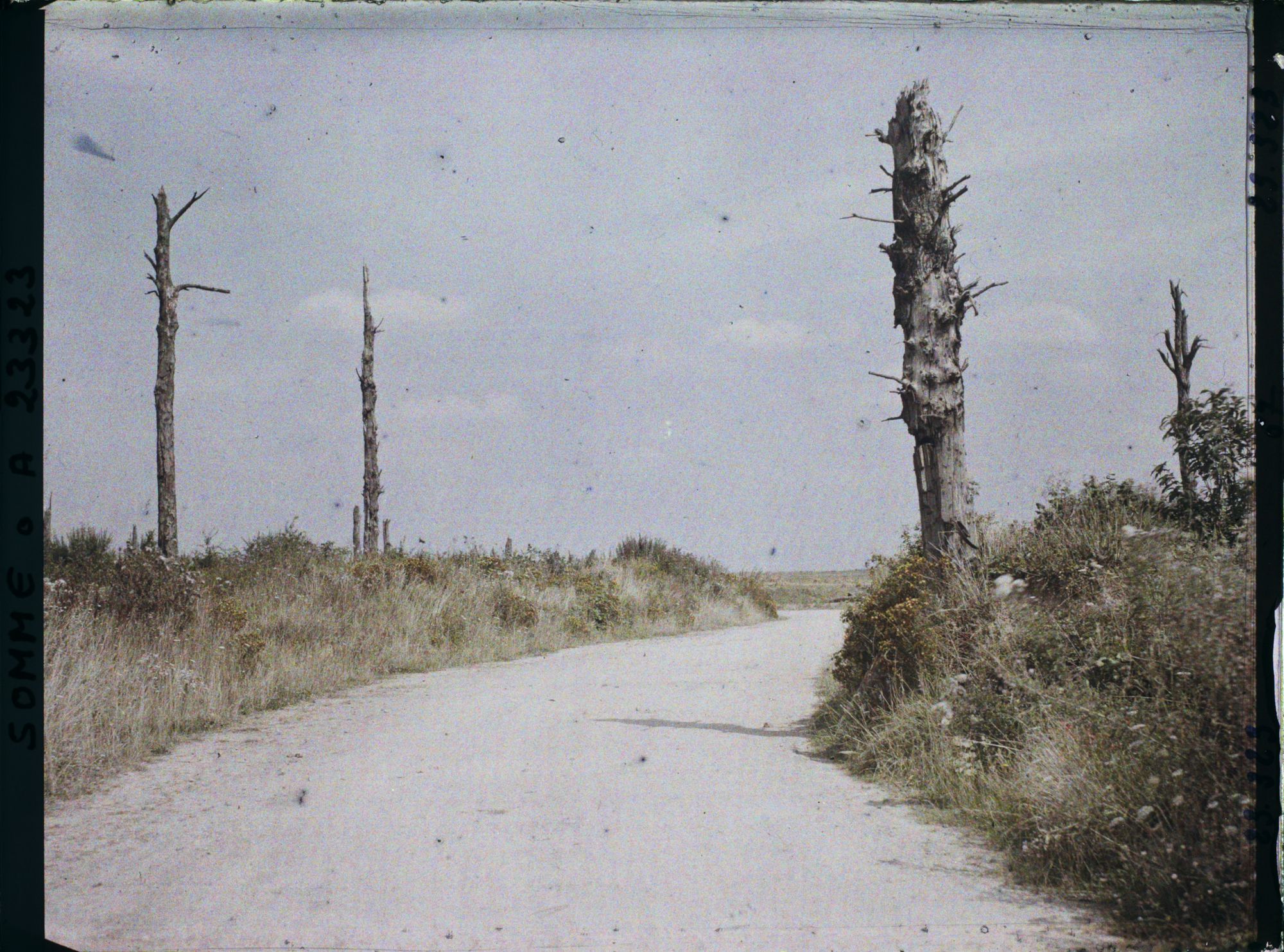 Image représentant France, Maurepas, La route de Maurepas à Combles, dans sa traversée du Bois Douage