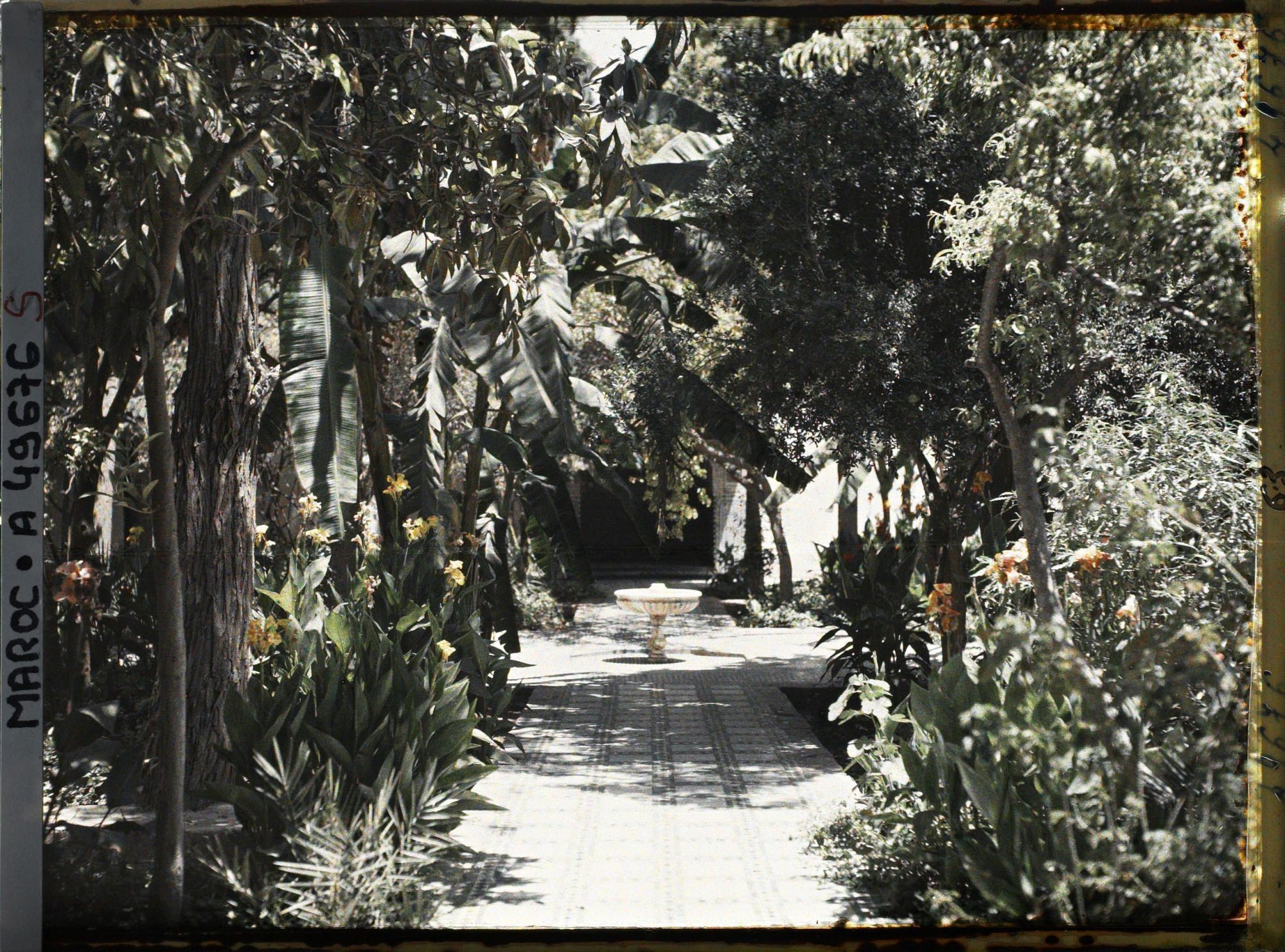 Image représentant Un riyâd (jardin intérieur), de style andalou, dans le palais de la Bahia
