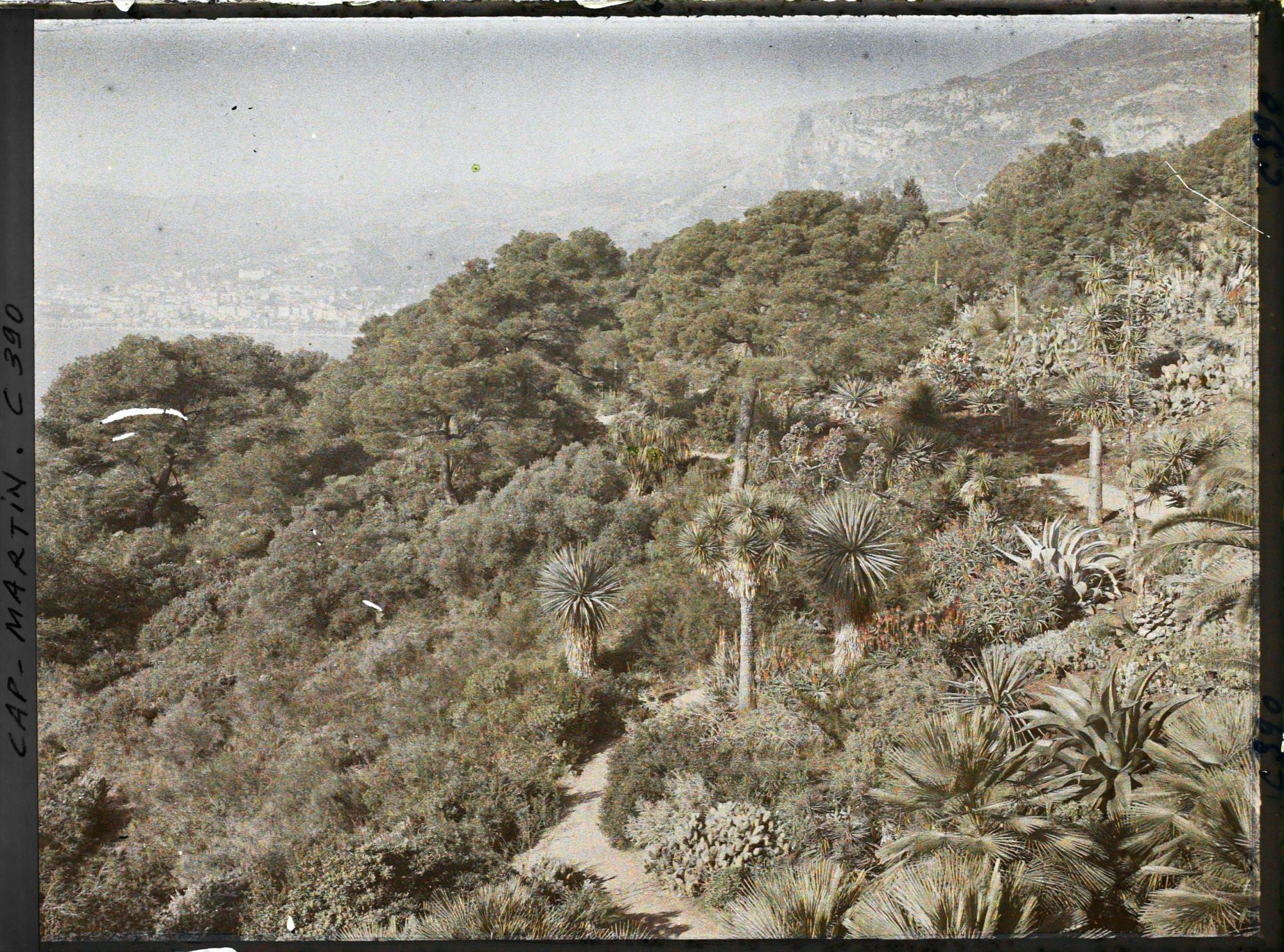 Image représentant Partie de jardin située au nord de la terrasse inférieure, à l'ouest de la villa Kahn dite villa Zamir