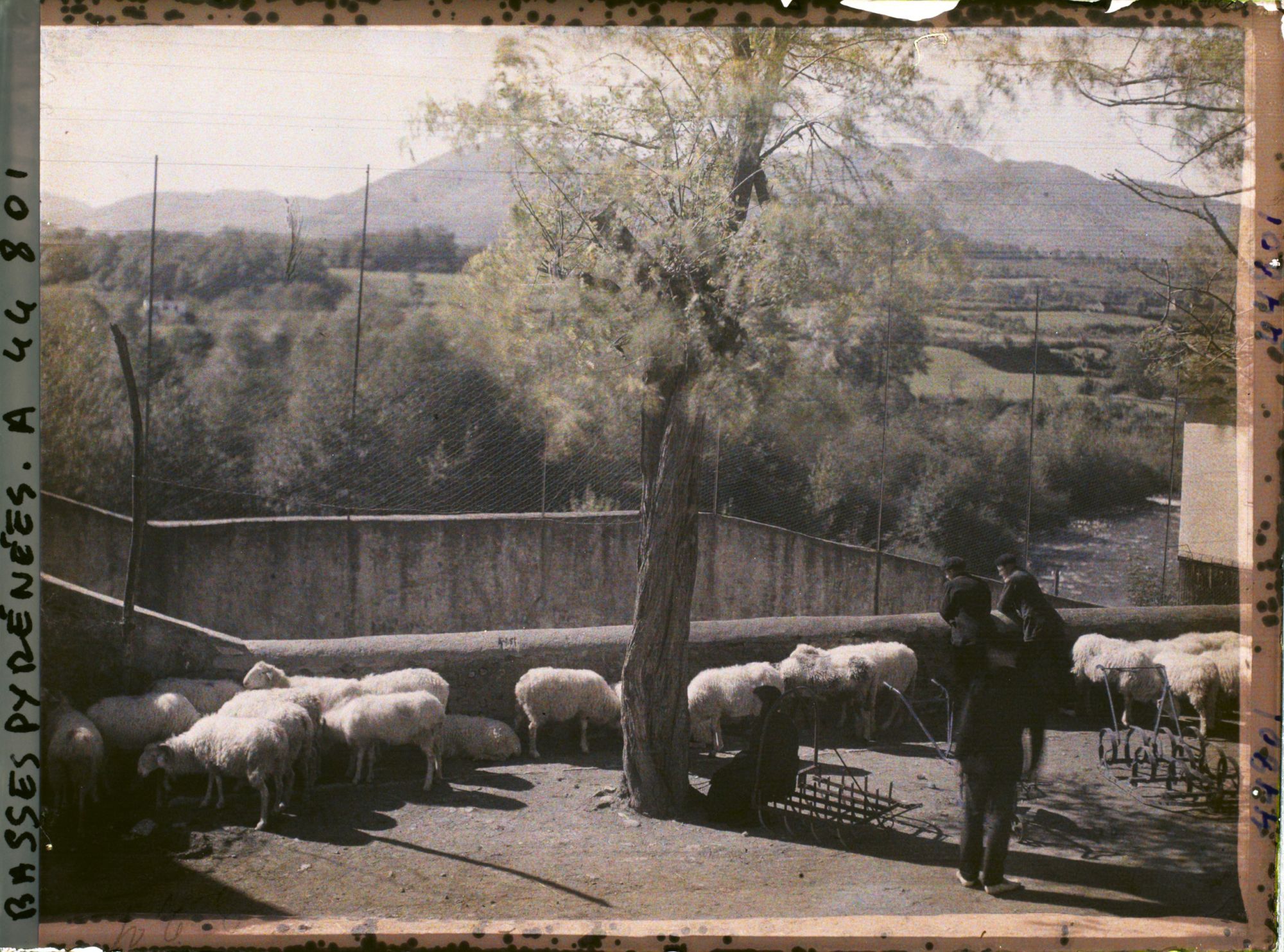 Image représentant France , Tardets, Le marché aux Bestiaux