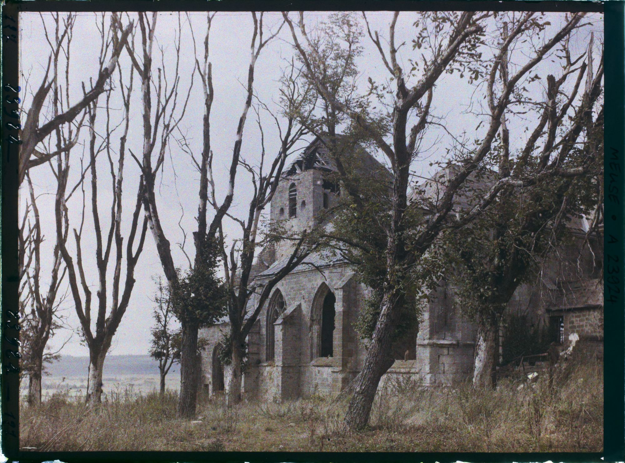 Image représentant France, Dun s/Meuse, Le Clocher de l'Eglise et les arbres morts de la place