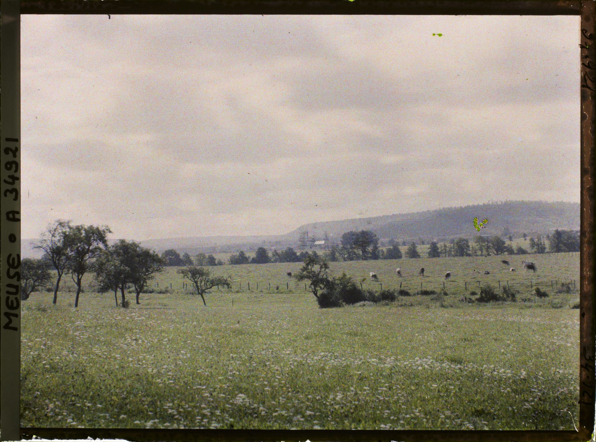 Image représentant France, Le Neufour, Hauteur des Islettes, vue prise du Sud de Neufour