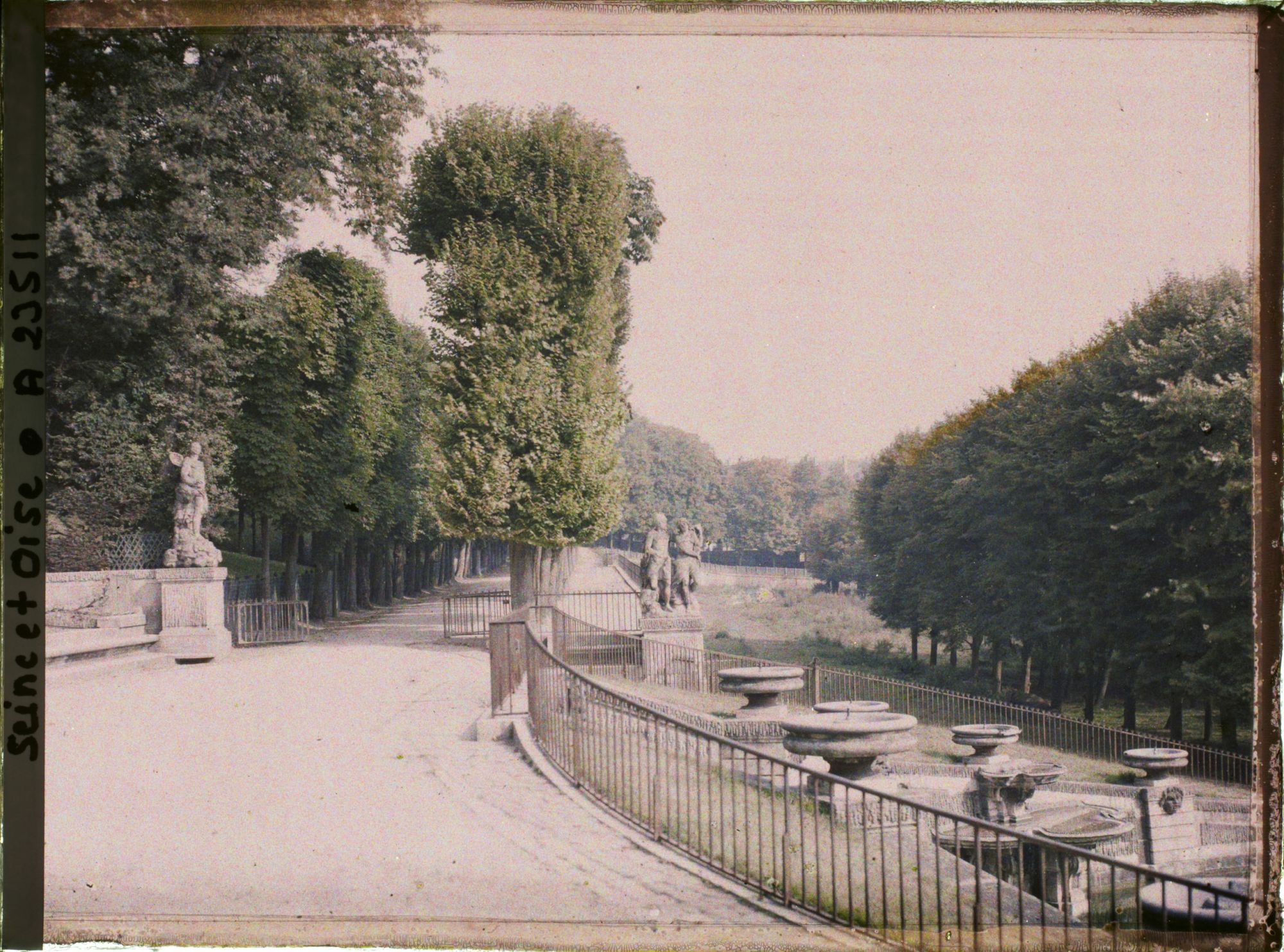Image représentant Aspect de la végétation dans le parc, la Grande Cascade