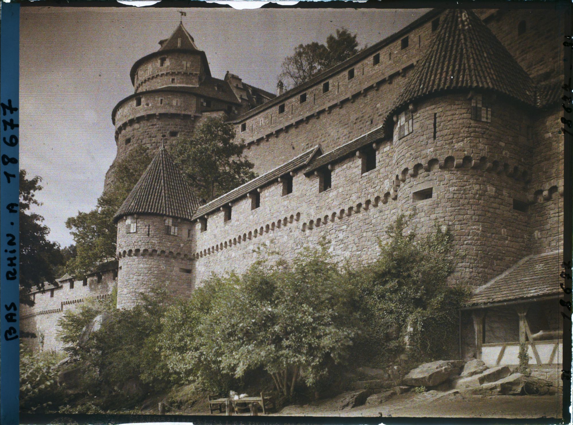 Image représentant Château de Haut-Koenigsbourg