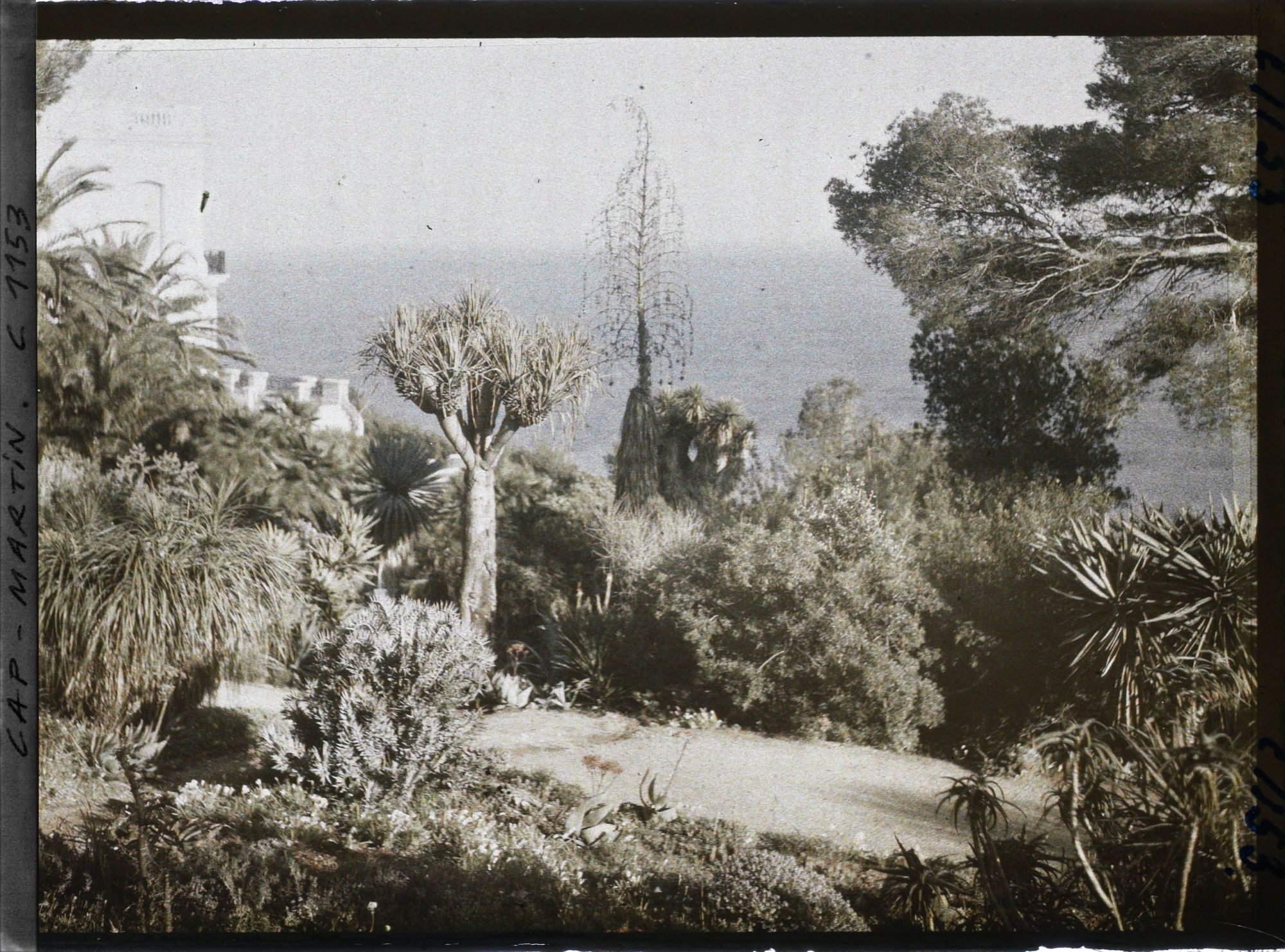 Image représentant le jardin