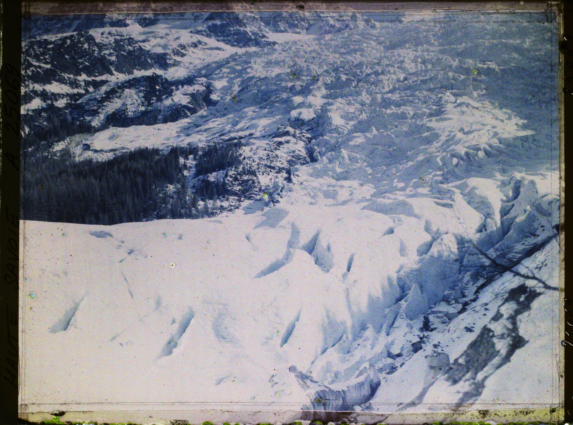 Image représentant France Les Alpes, Les Bossons, Le Glacier des Bossons et la limite de la végétation