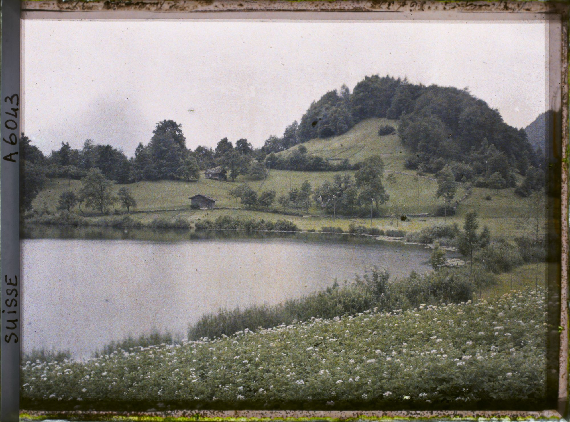 Image représentant Le Burgseeli