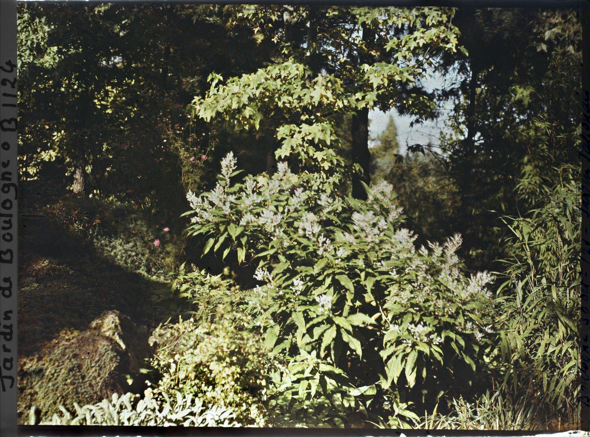 Image représentant Jardin japonais ?