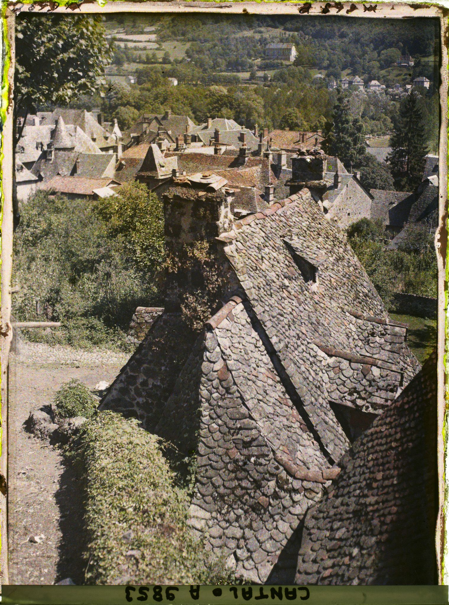Image représentant Les toitures des maisons rue du Dr Civiale