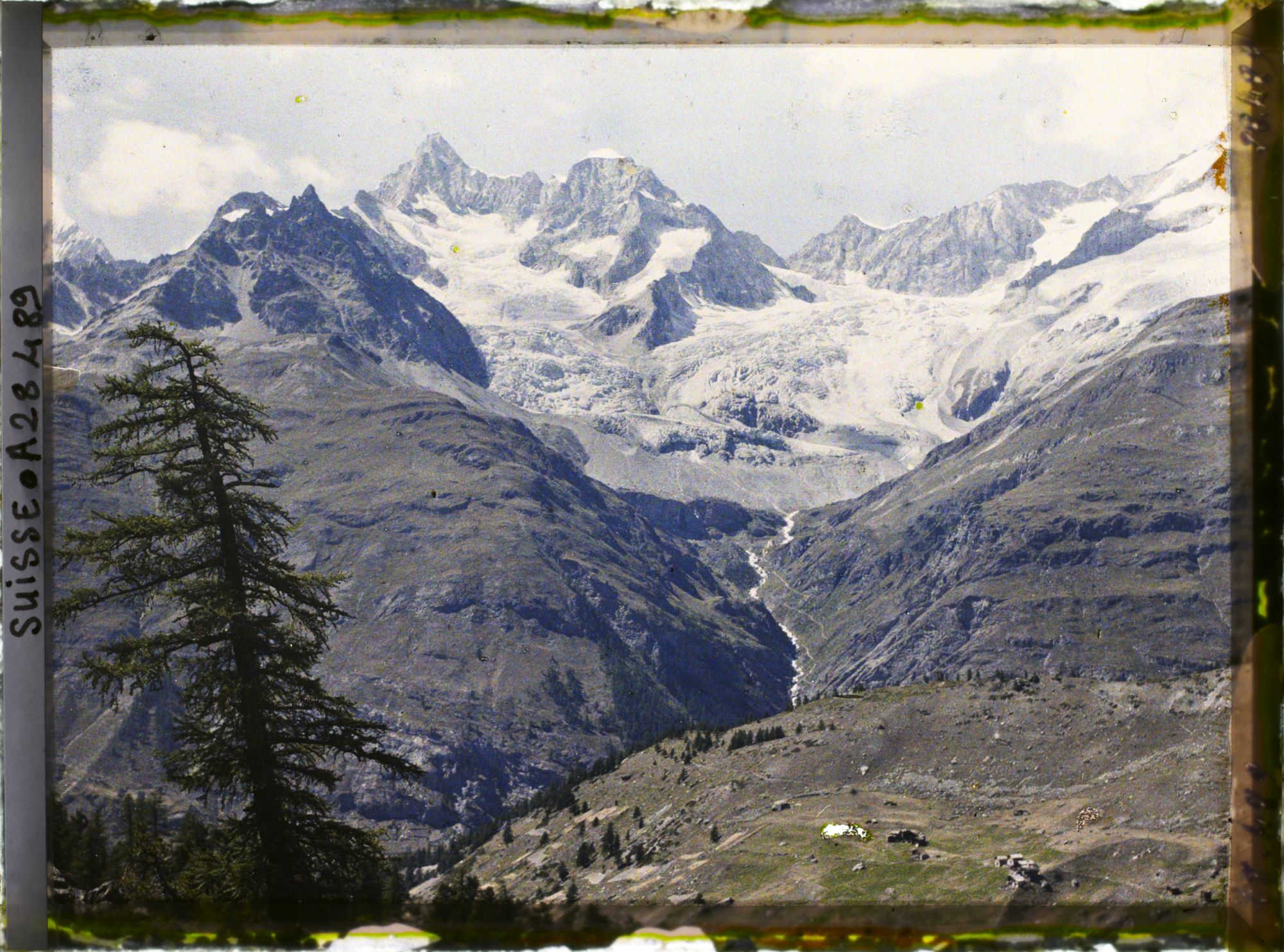 Image représentant L'Obergabelhorn et le glacier du Trift depuis le hameau de Findeln